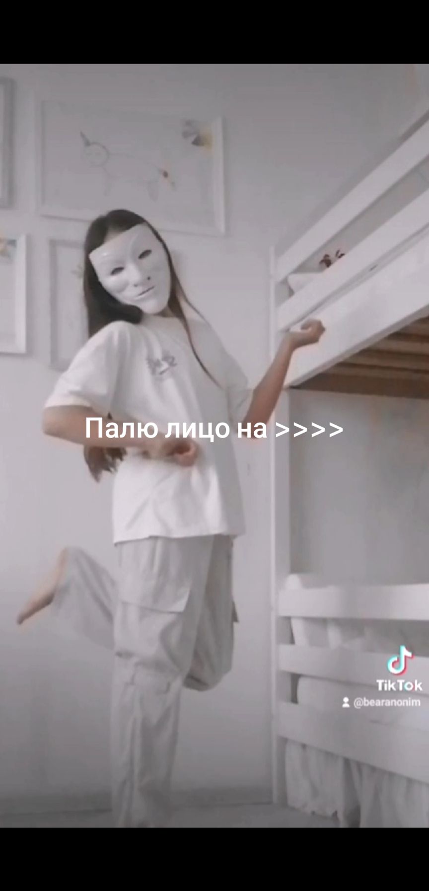 @Bear anonimus