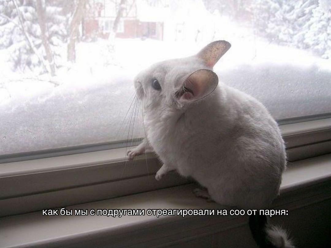@❕агент тикси❕