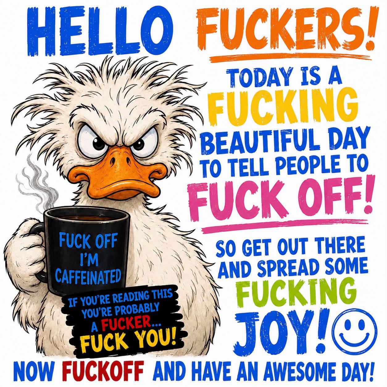 @Cat