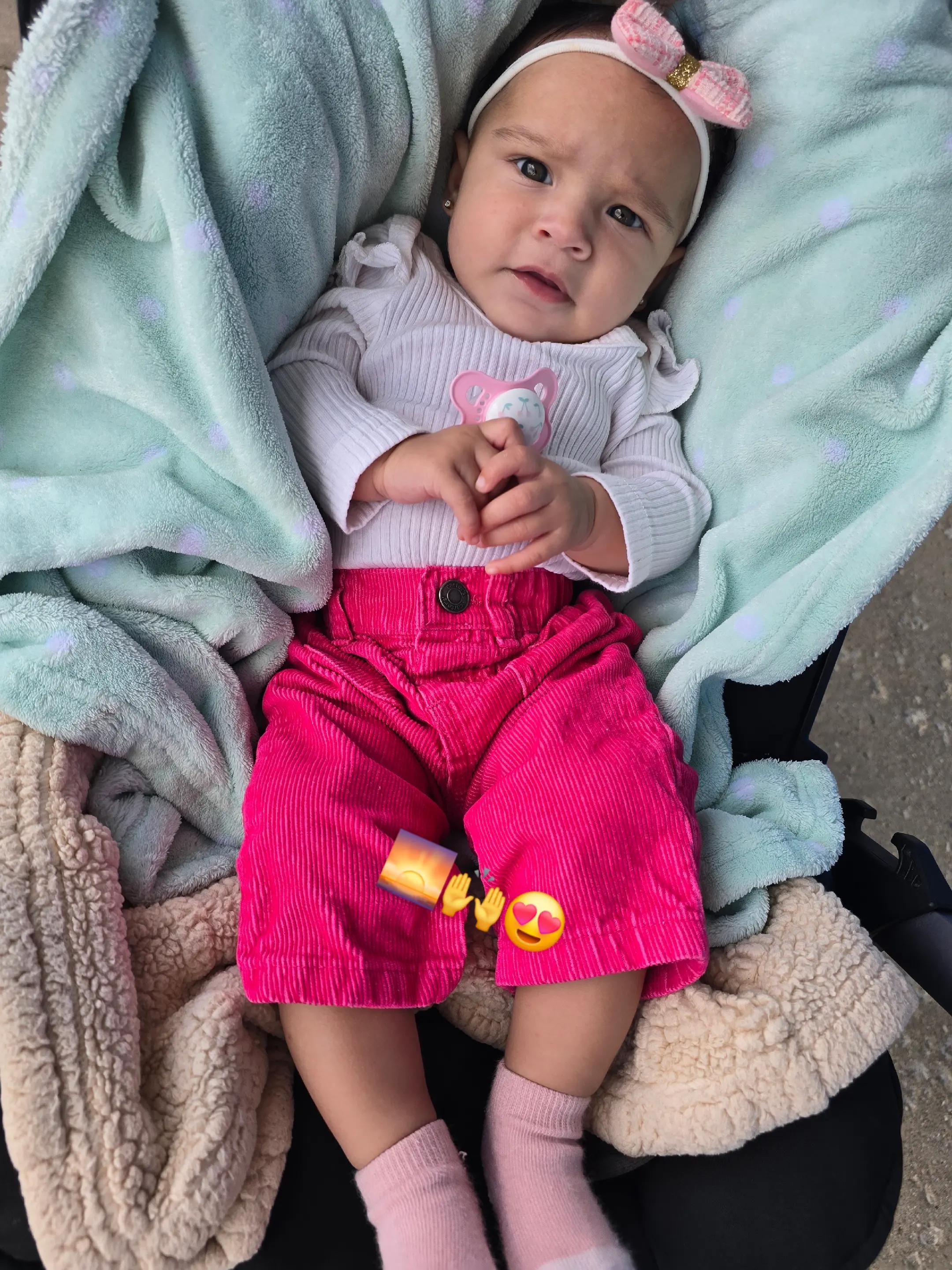 @wilerijose