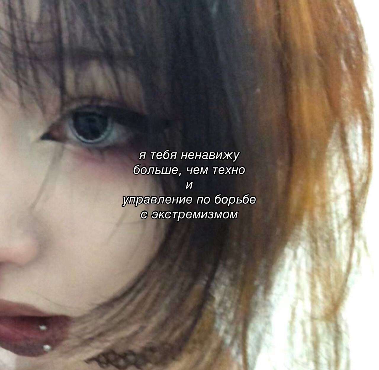 @slo_nya