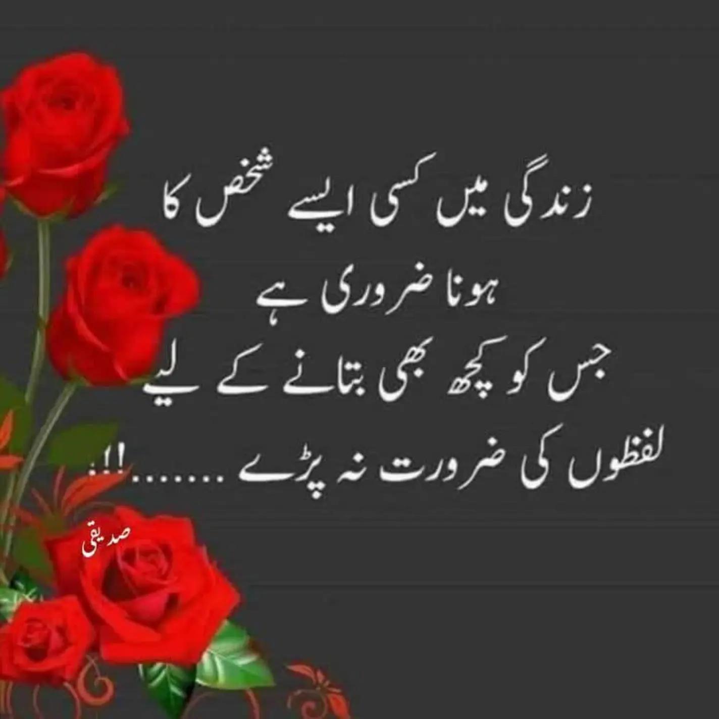 @NOOR QURESHI