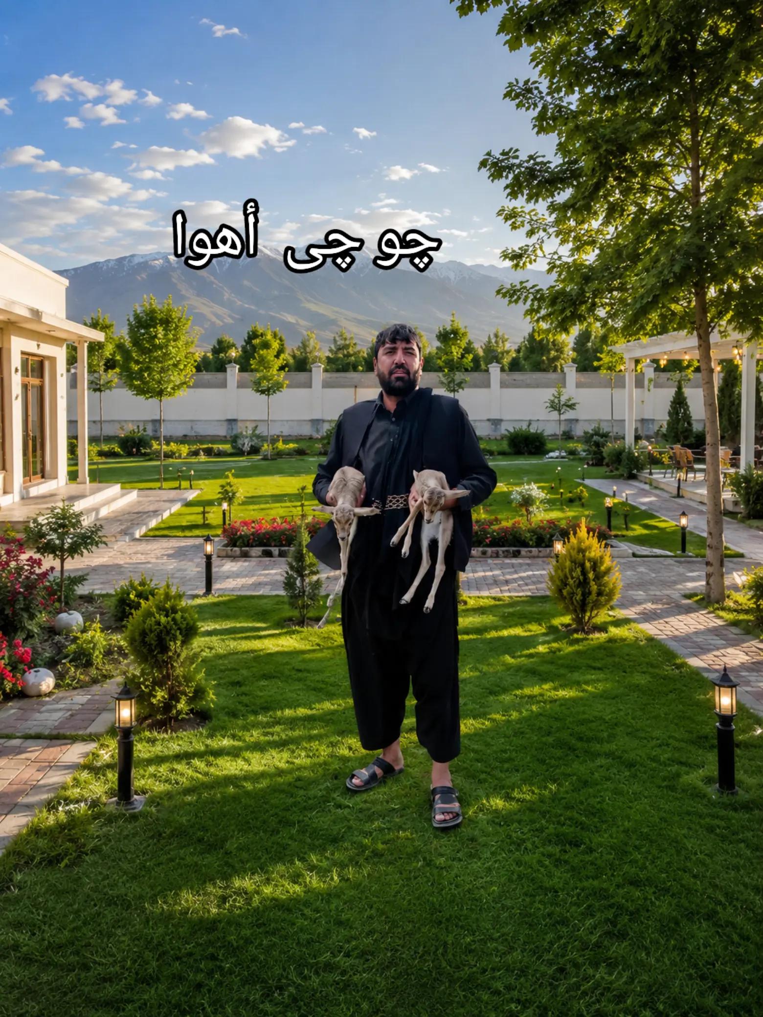 @👑Zahid Mosazai.،🔥