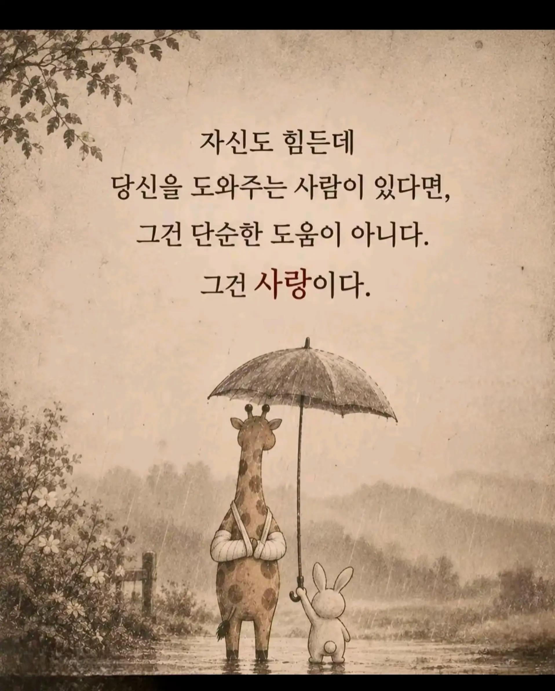 @๐ธ๐ดโ๏ธ์ด์โ๏ธ๐ด๐ธ๐ค