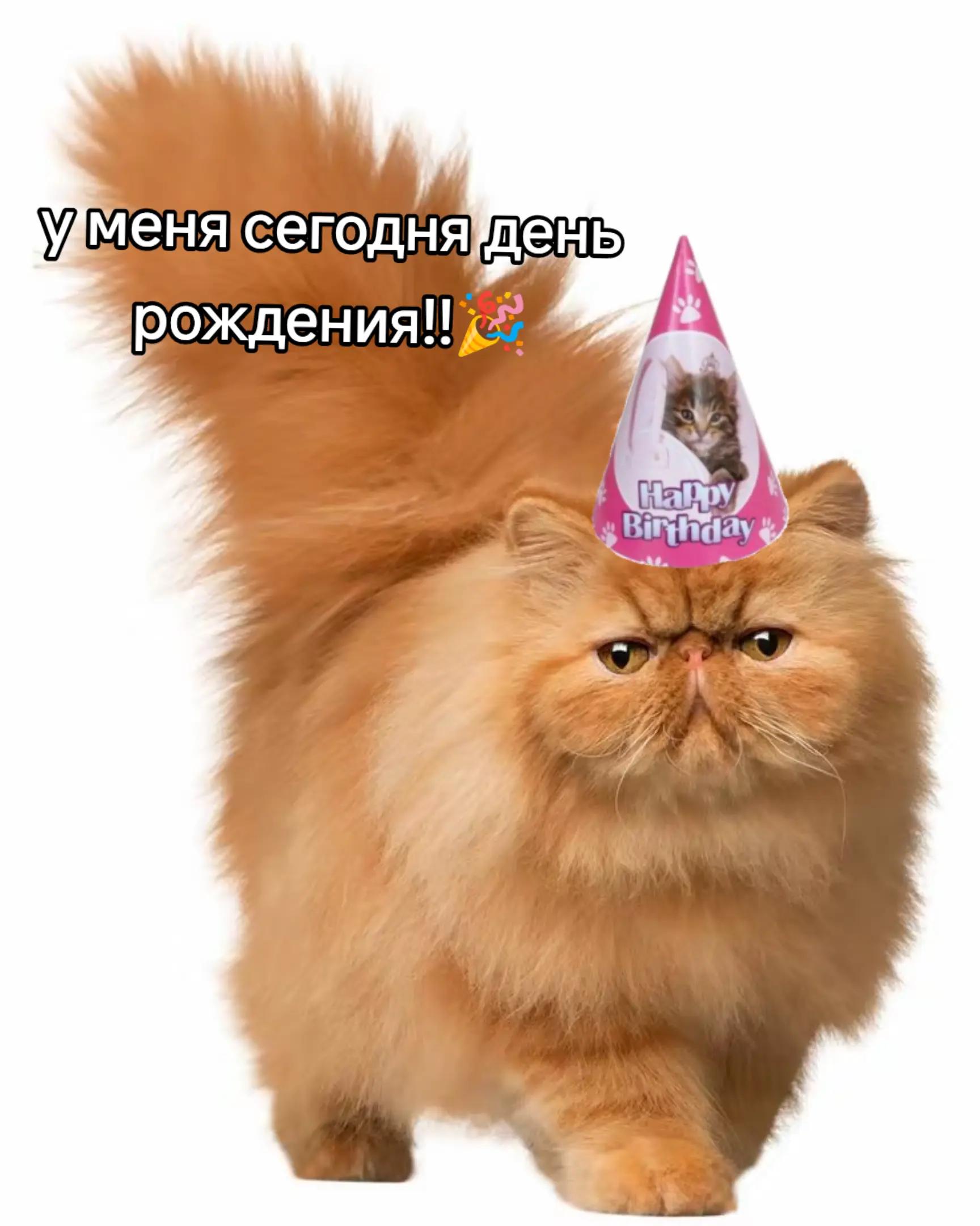 @EeehBlyaat