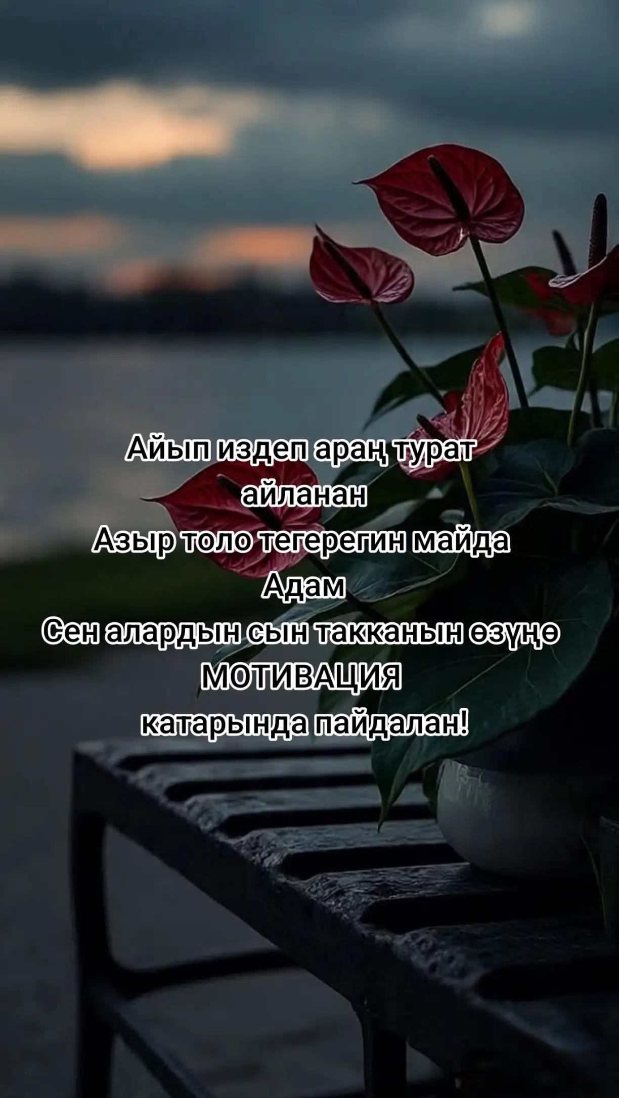 @_Jyldyz31_💕