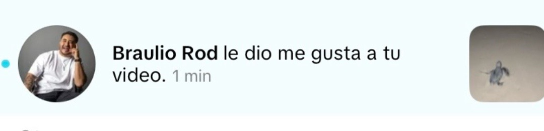 @Tiburonsín