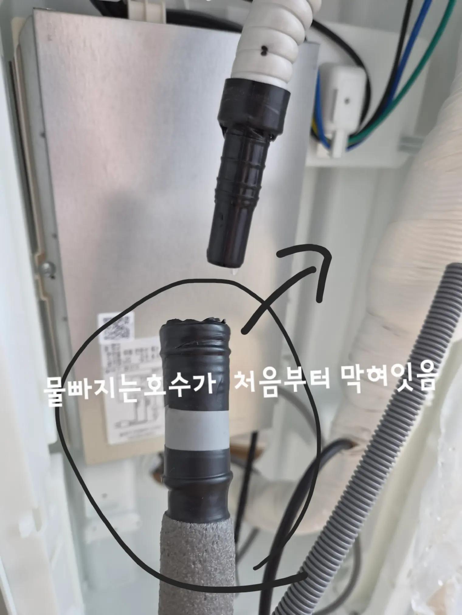@몽이쒸네~푸들