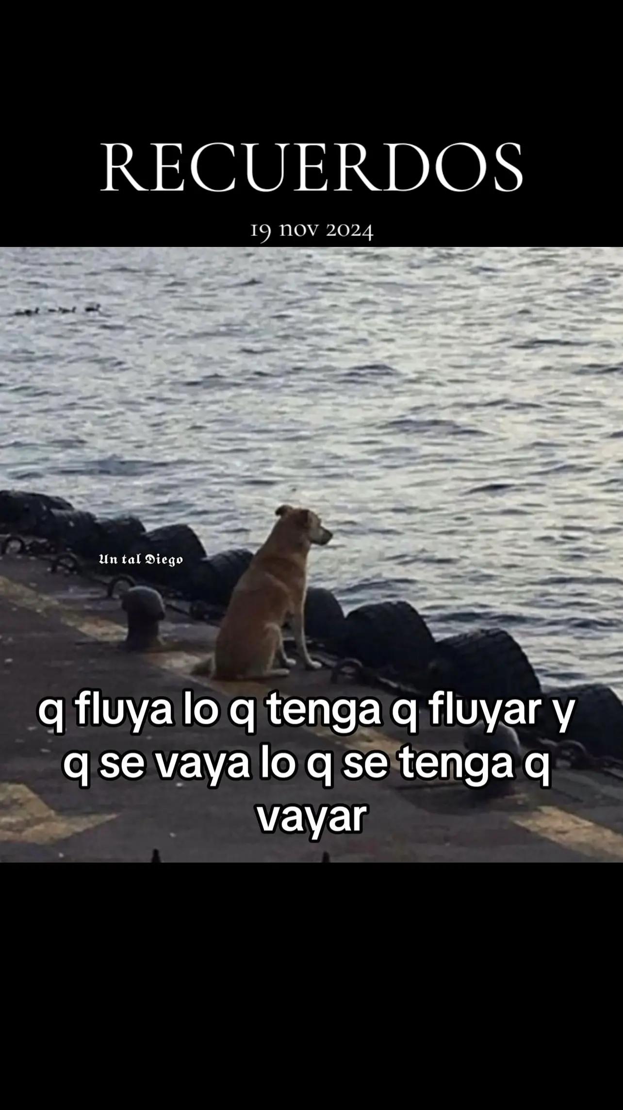 @carlos mendoza