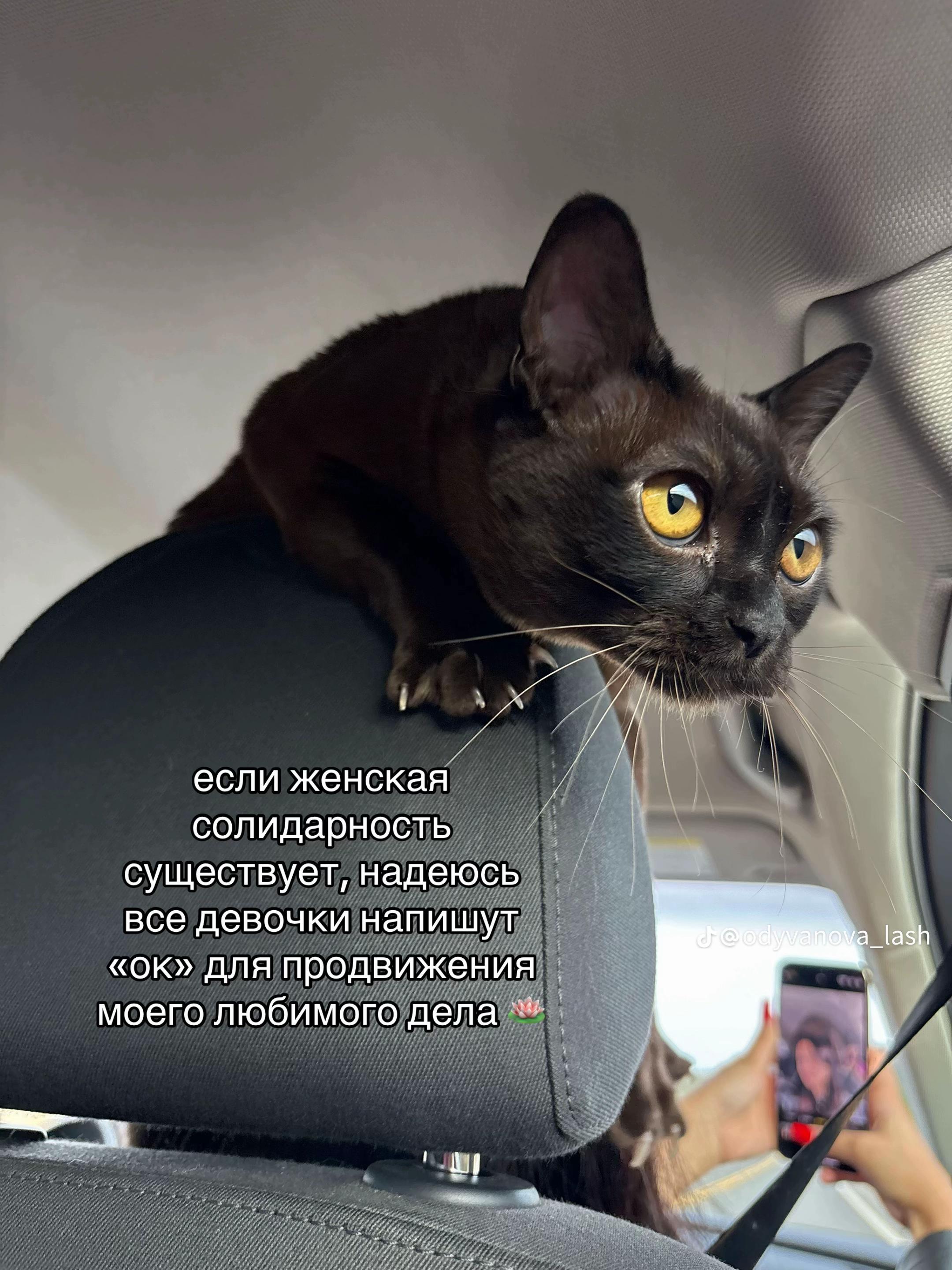 @Виолетта Мельникова