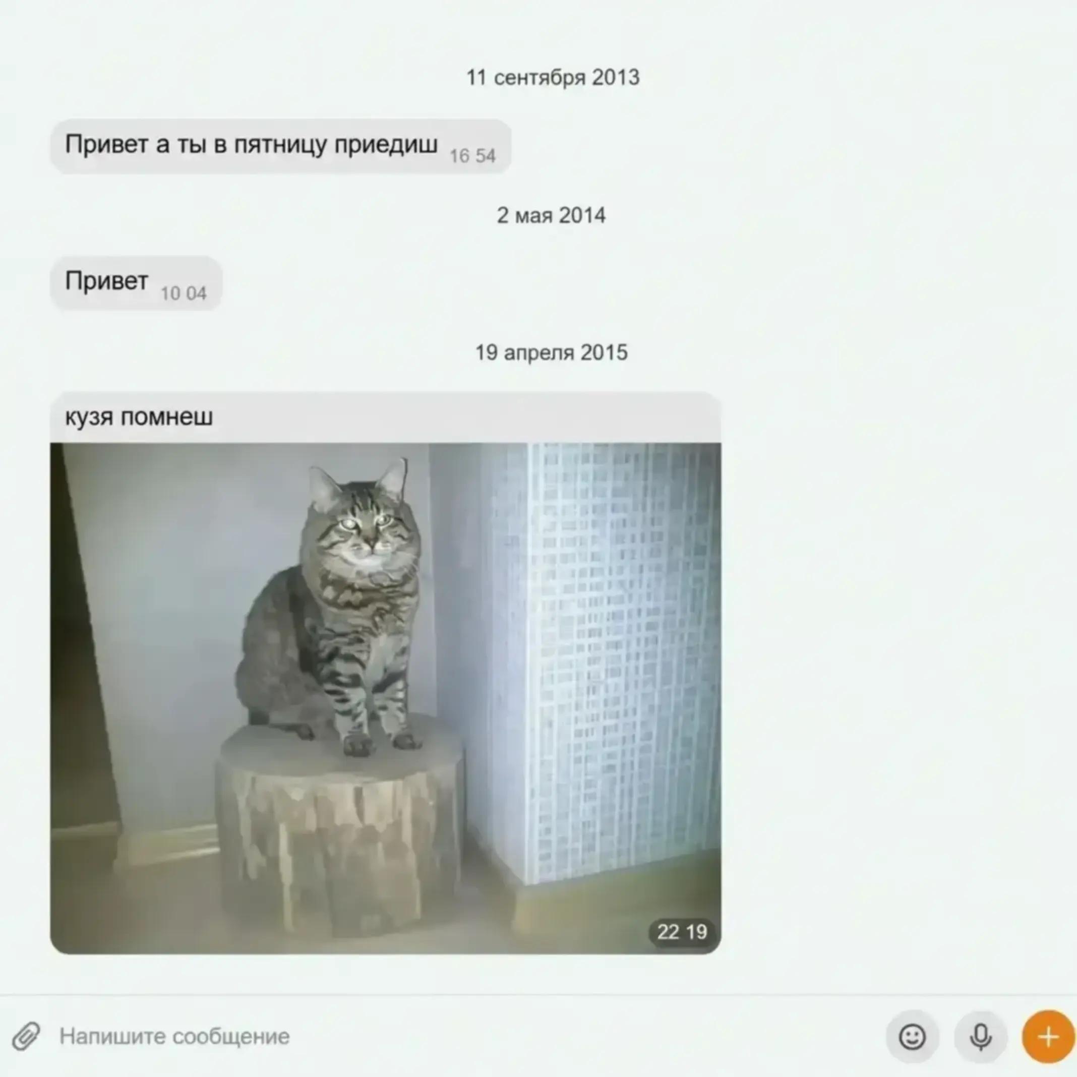 @данёк ветмо
