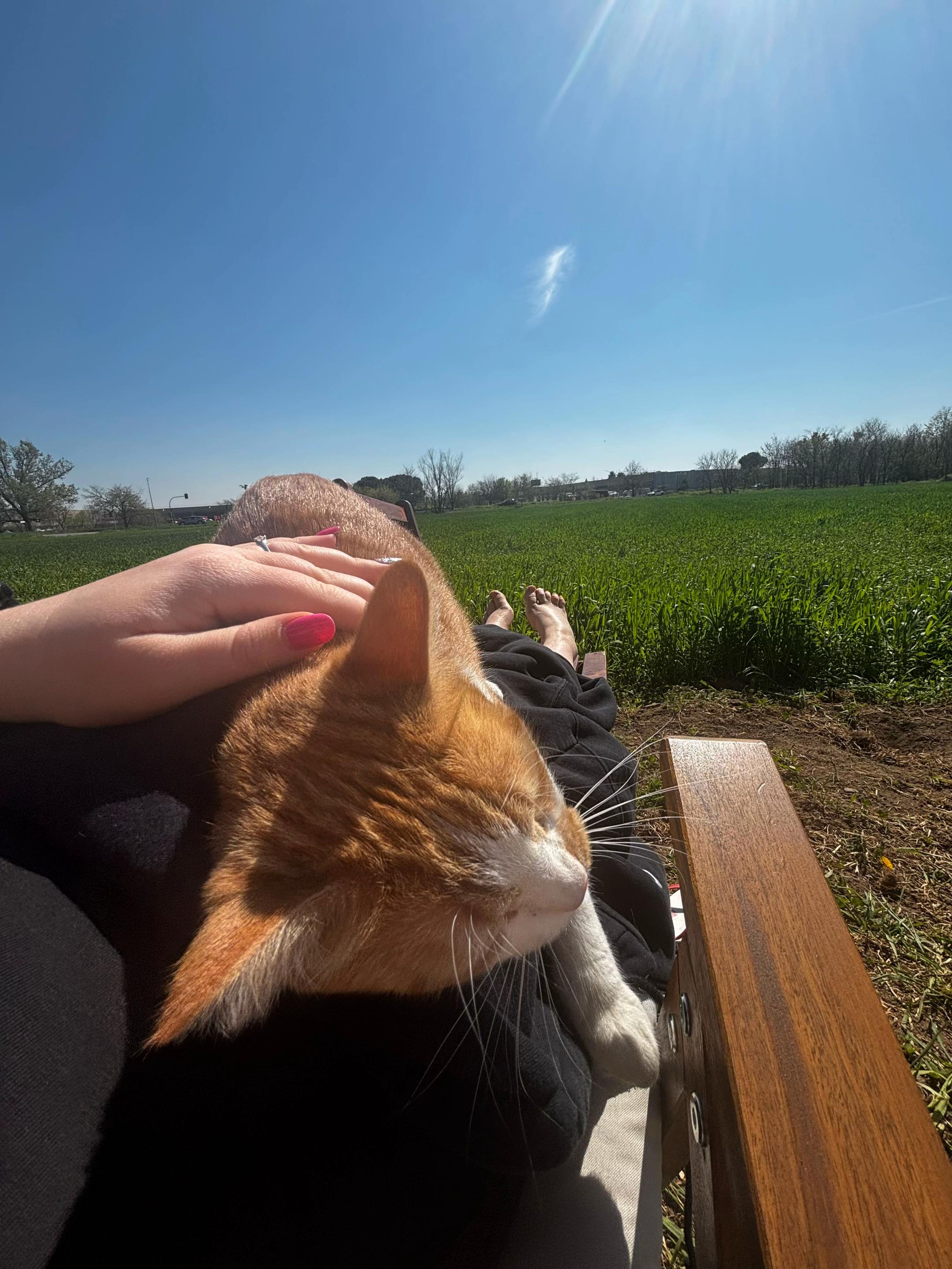 @Family_pelosa🐱🐰🐶🐮