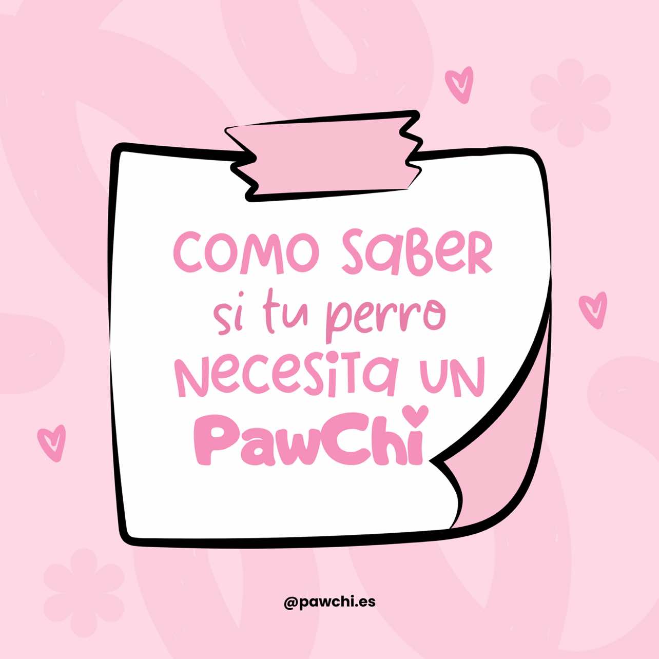 @PawChi