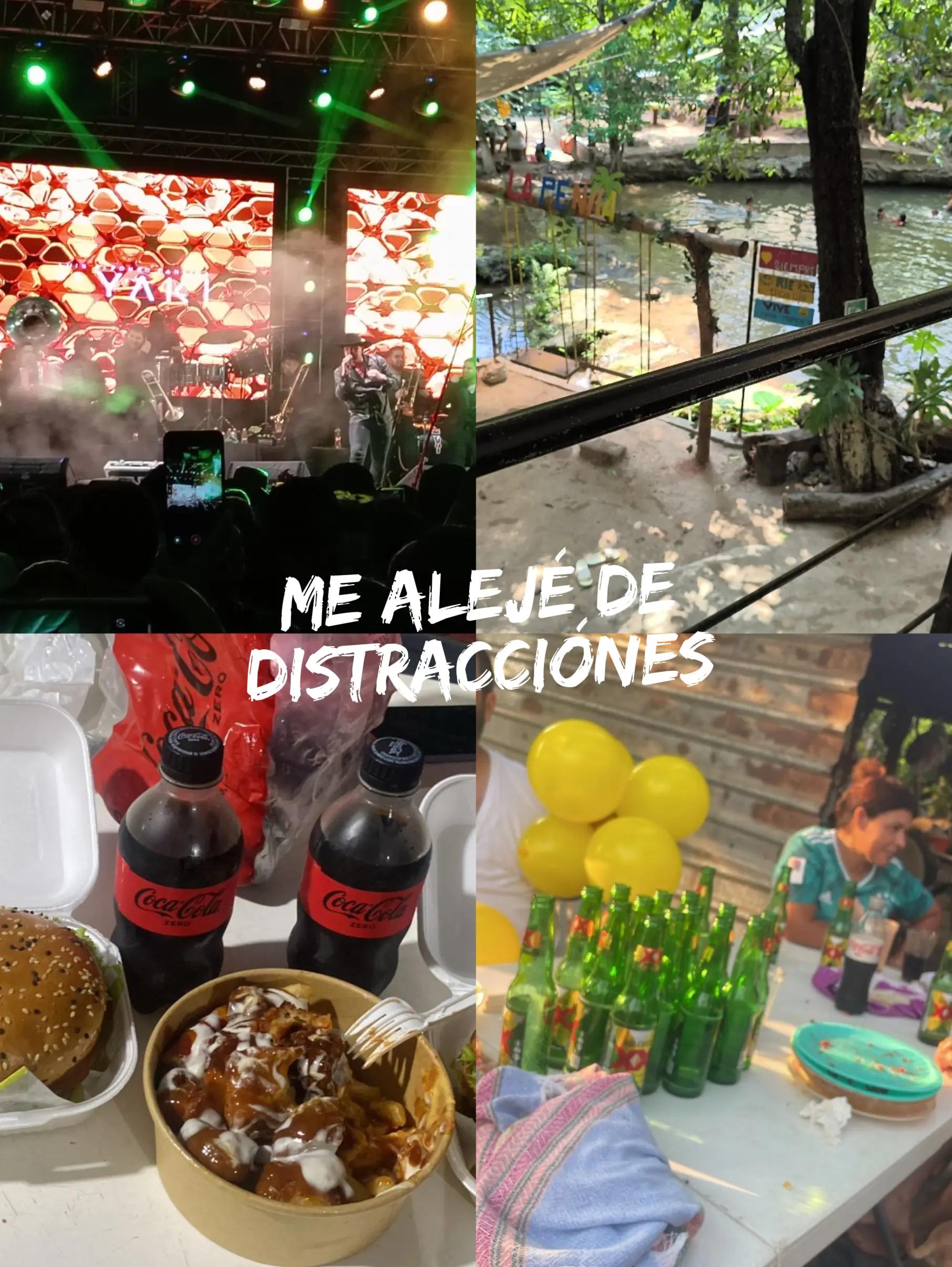 @EL_FLORES 🐉