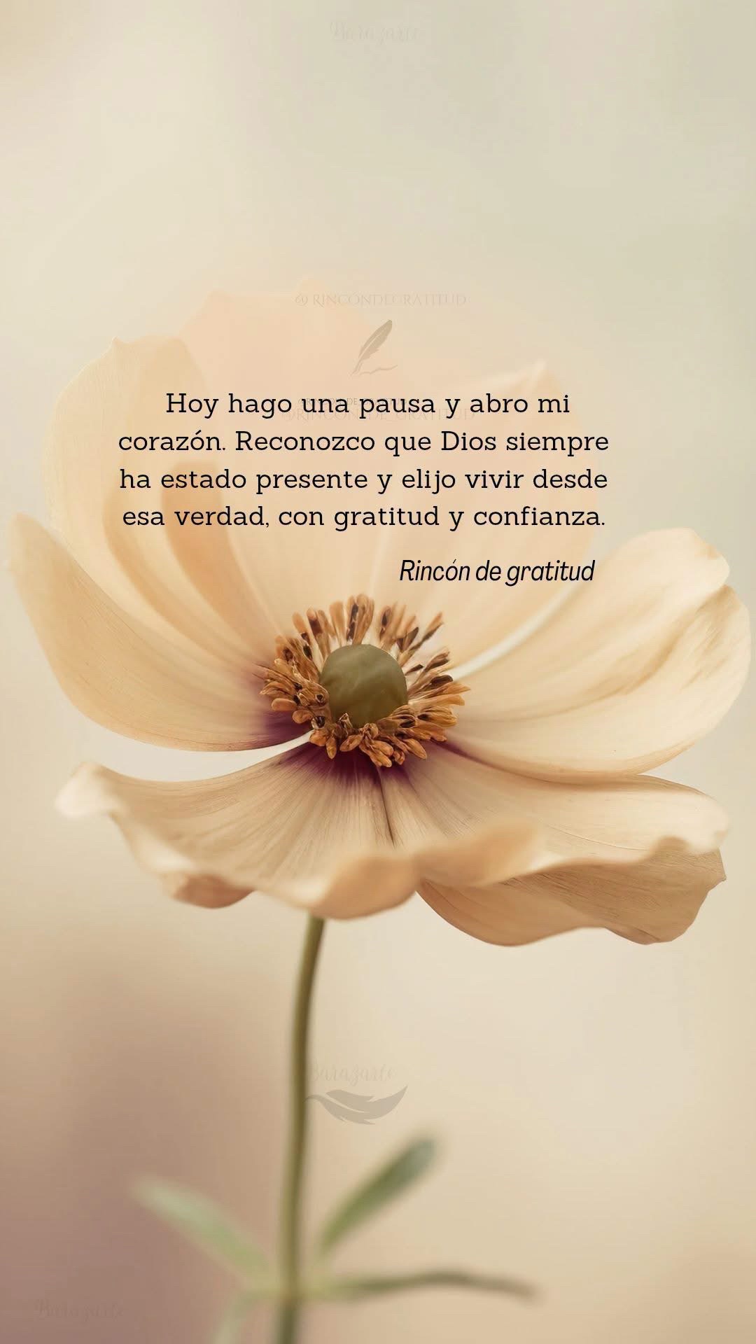 @ᥫ᭡ 𝕸ᥲríᥲ 💫
