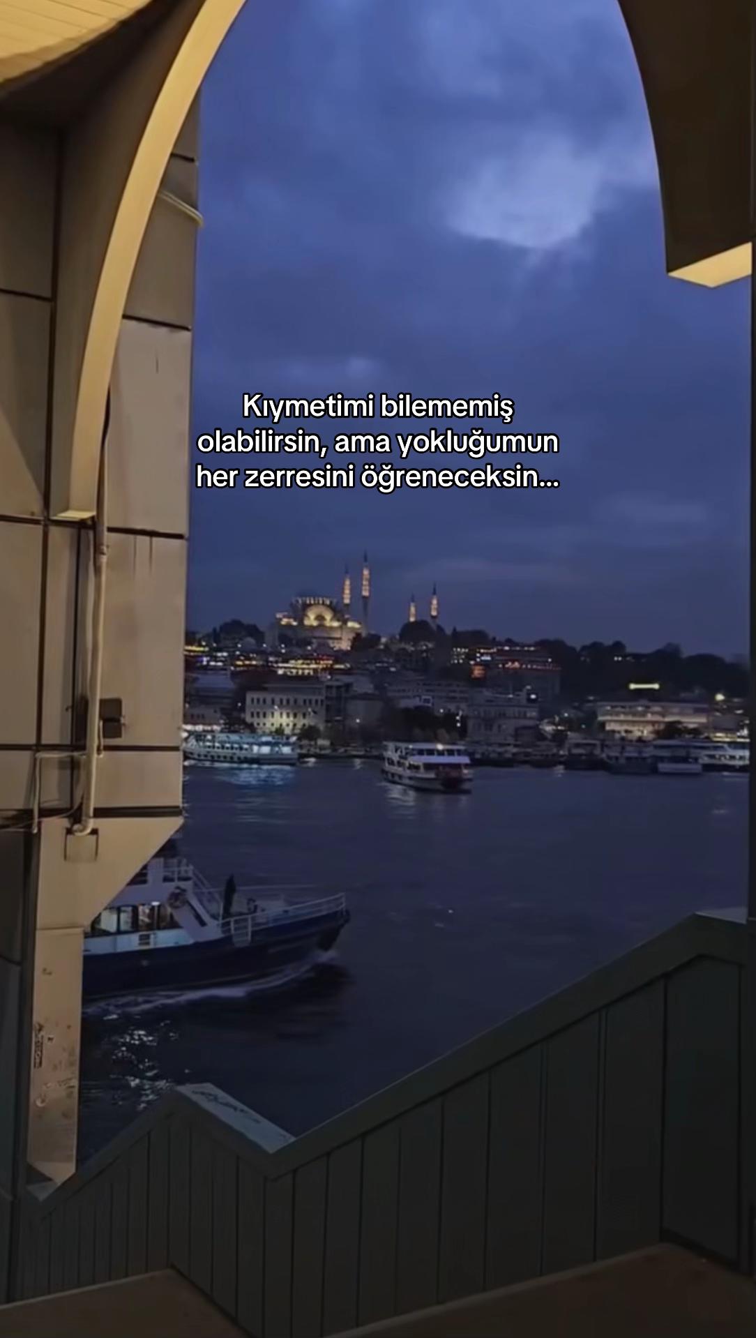 @seviyorgibiydin24