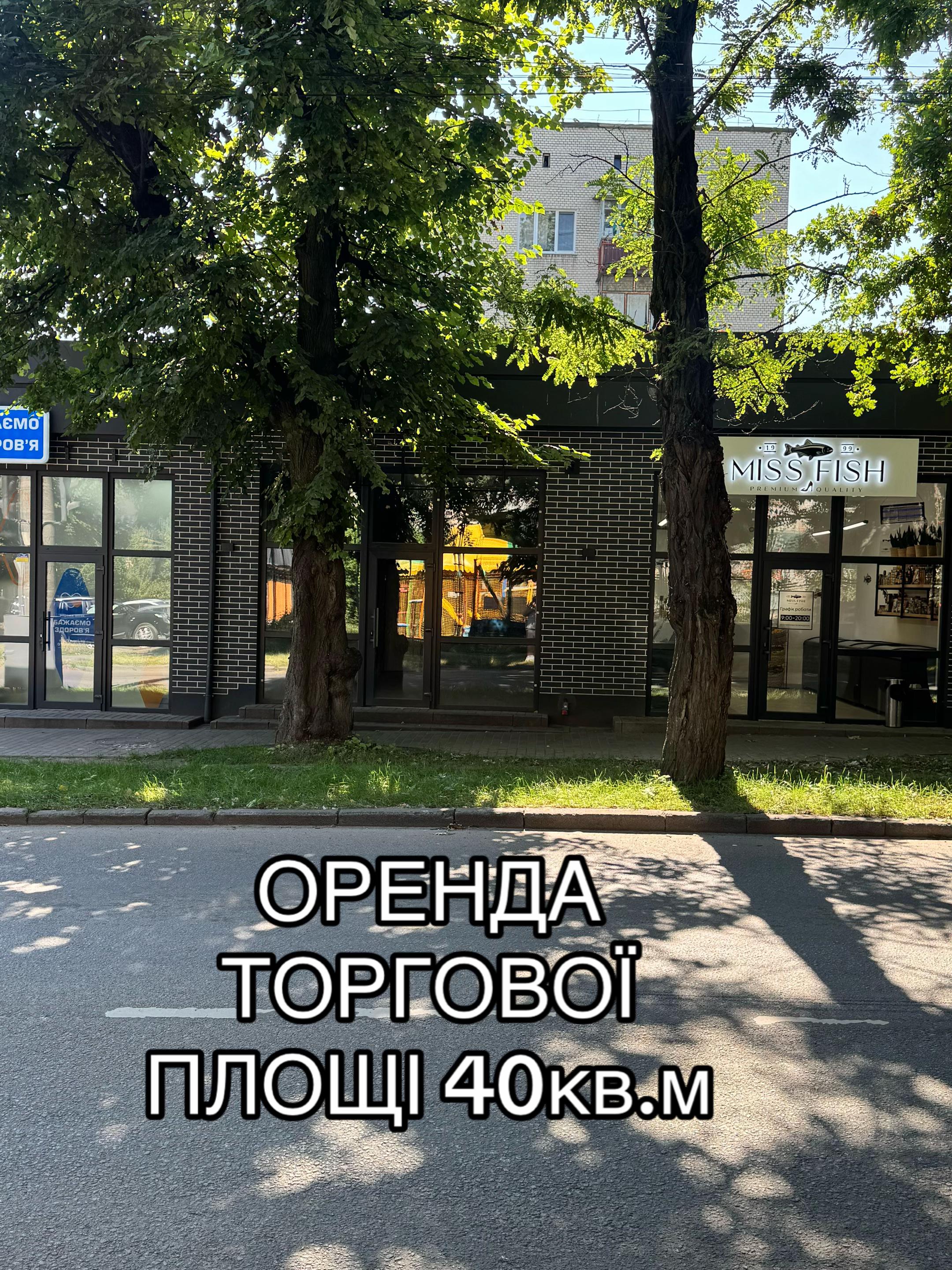@anatolii
