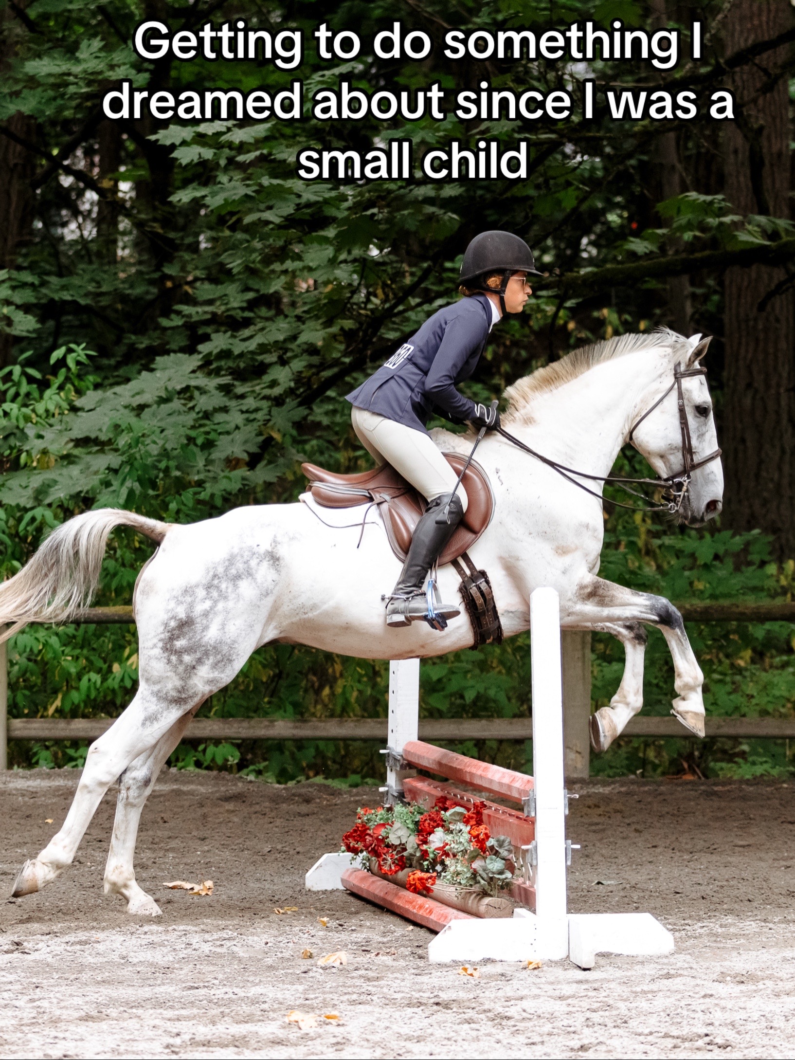 @BlueStarEquestrian