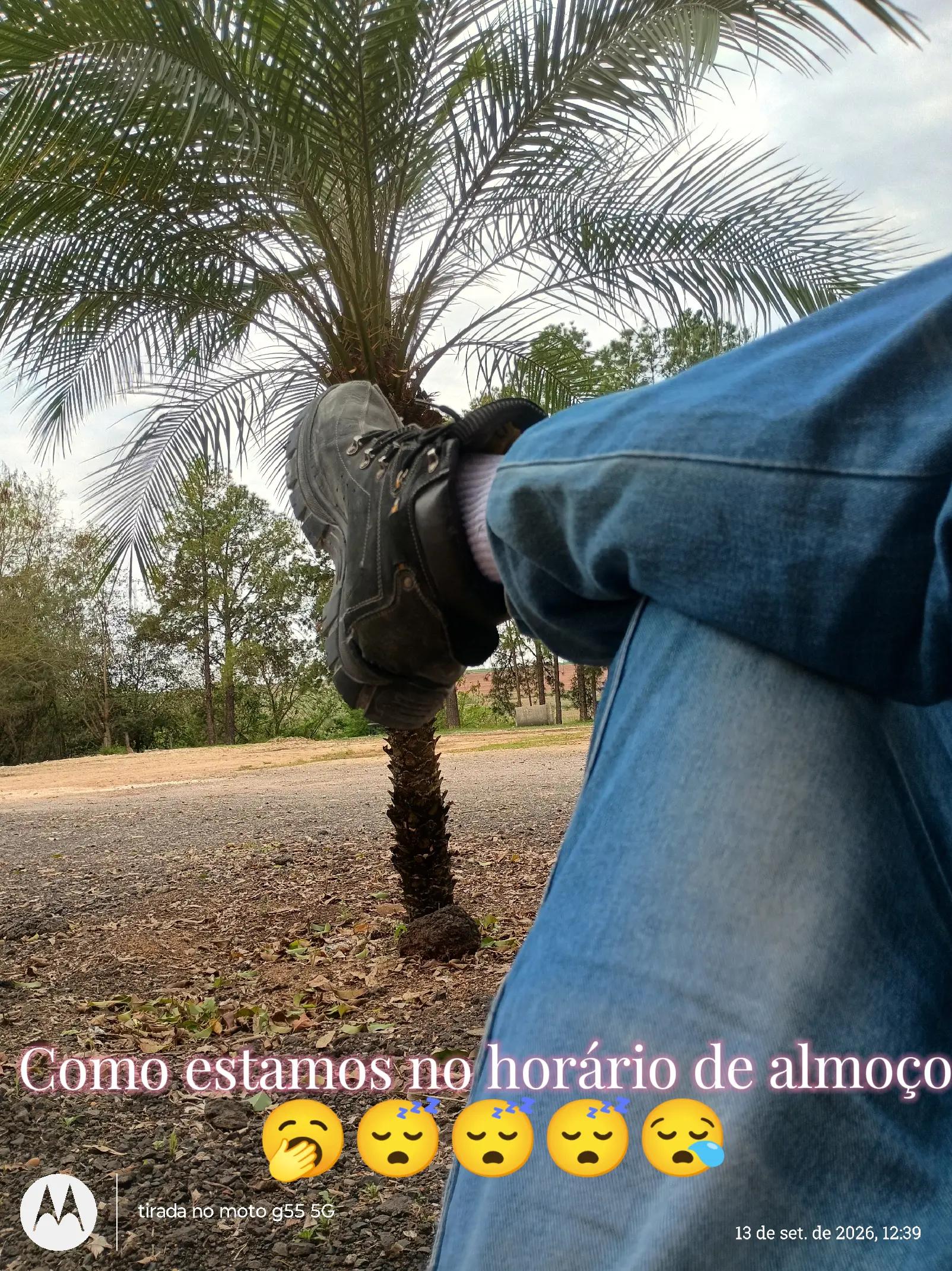 @Edvan Damacena