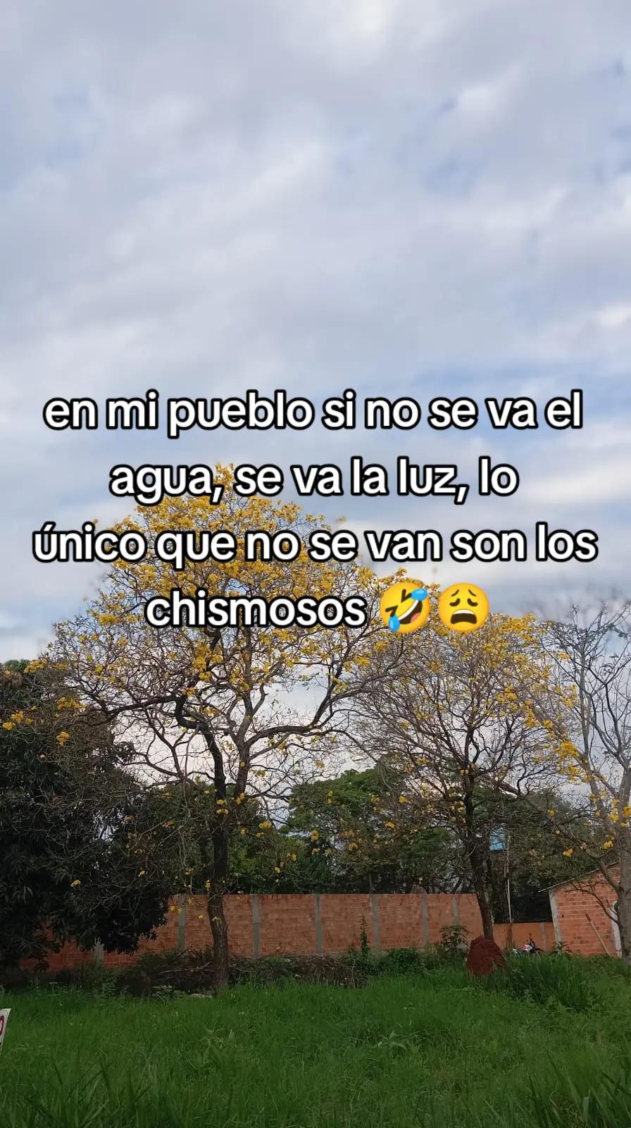@Daniel Insfrán