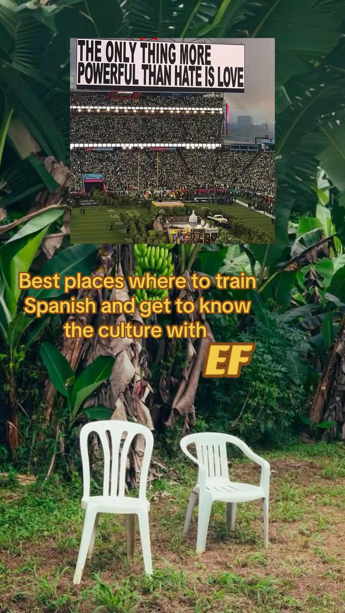 @ver~ef ambassador