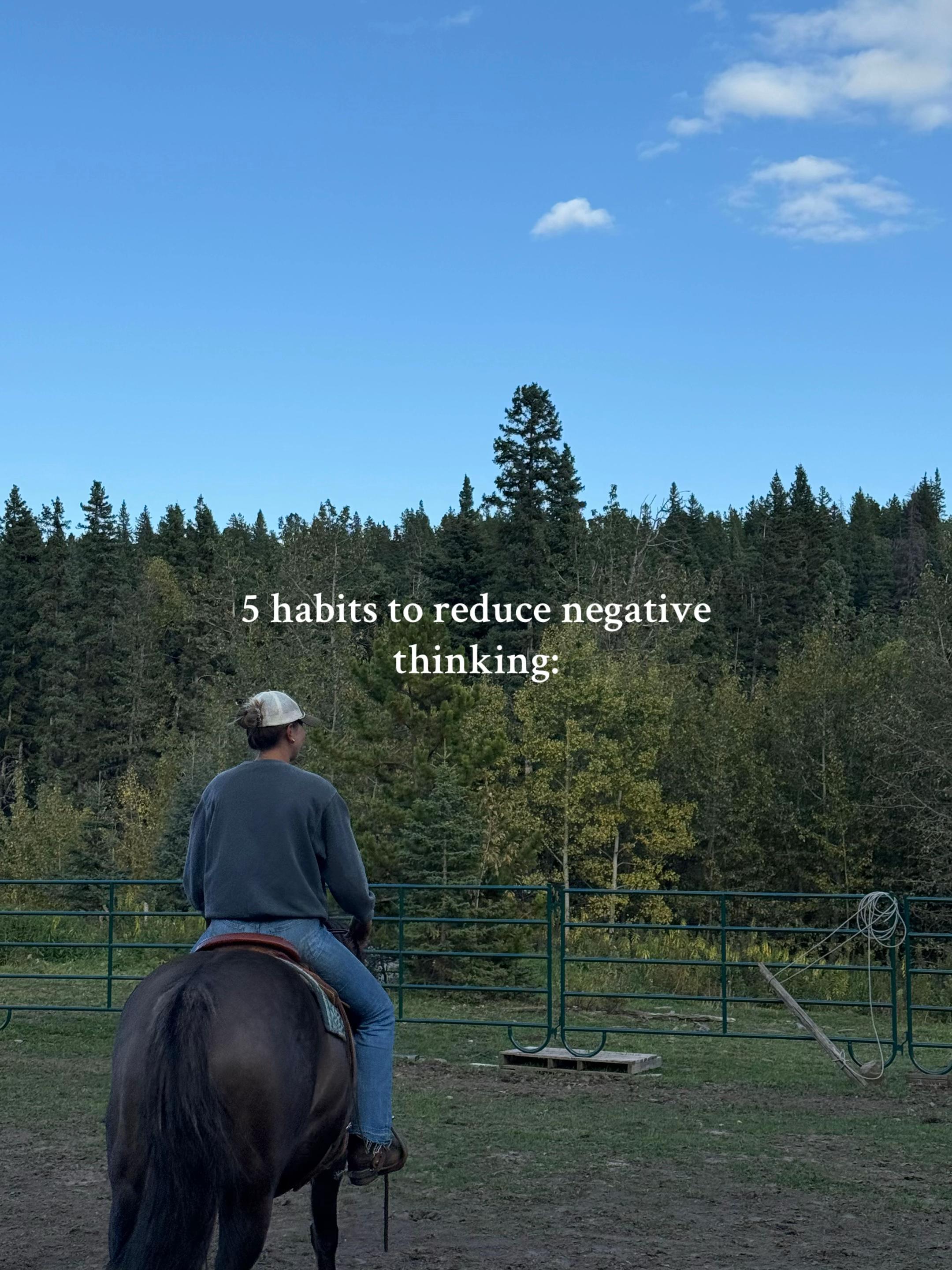 @Ranch Riders