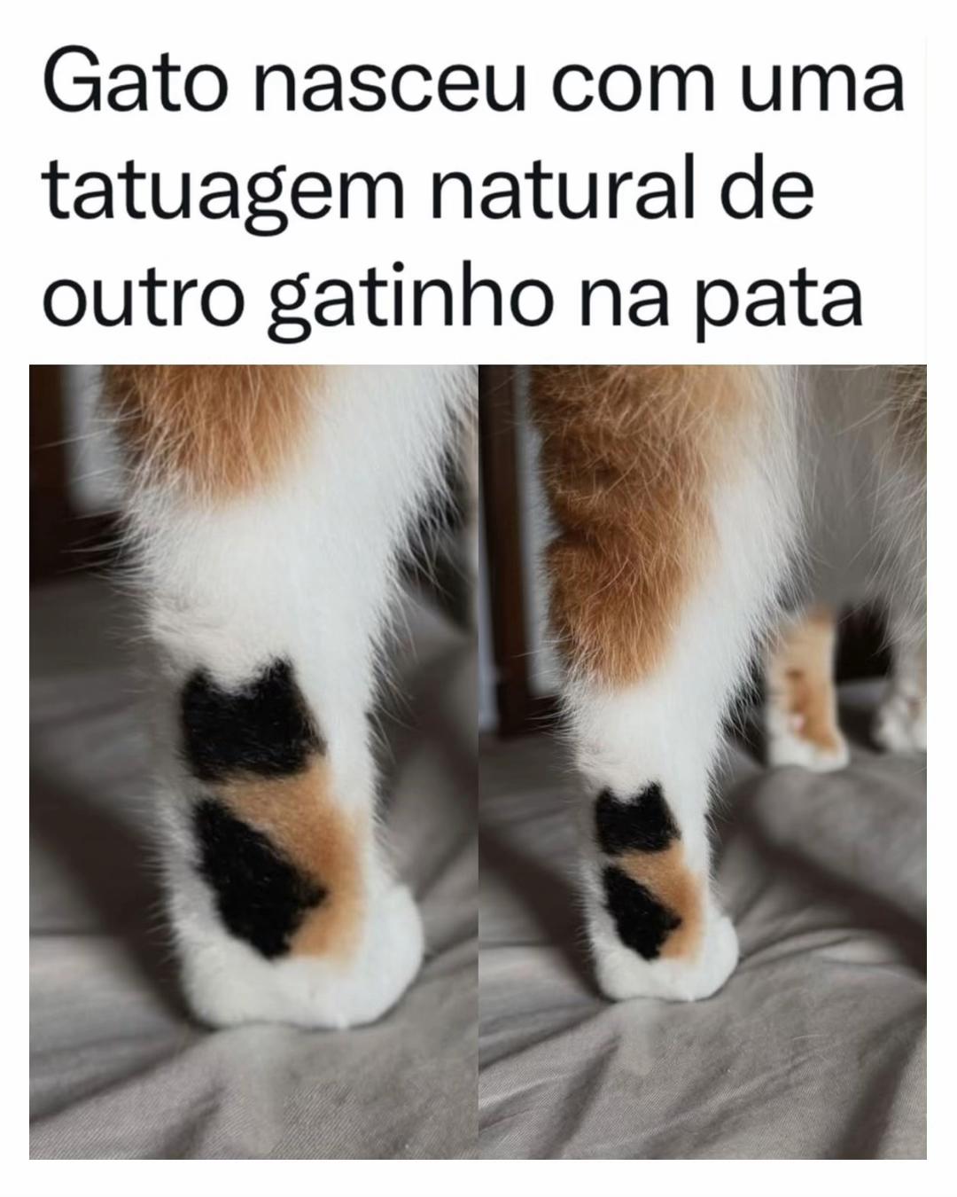 @Alfinetei