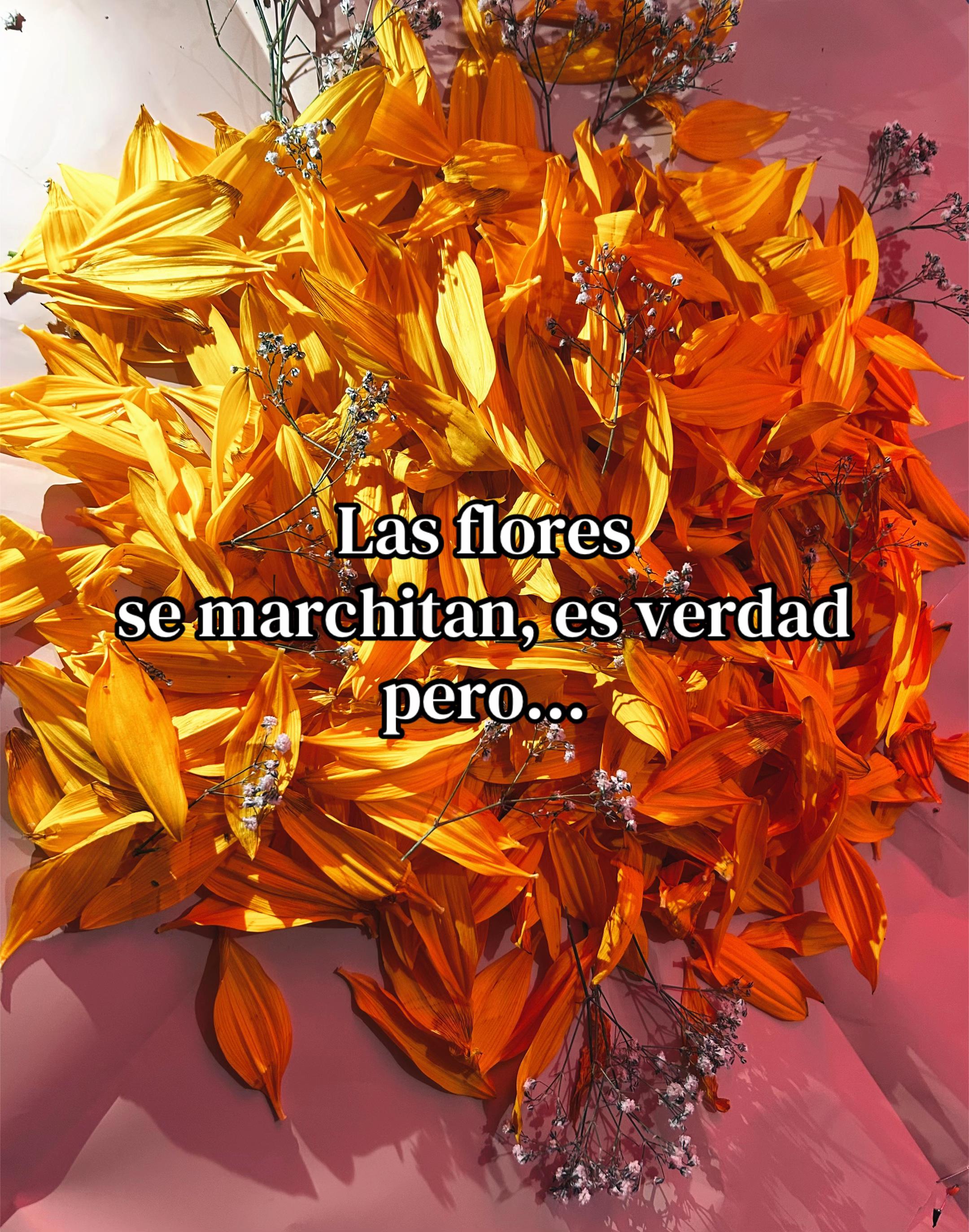 @que viv&iacute;a en Marte