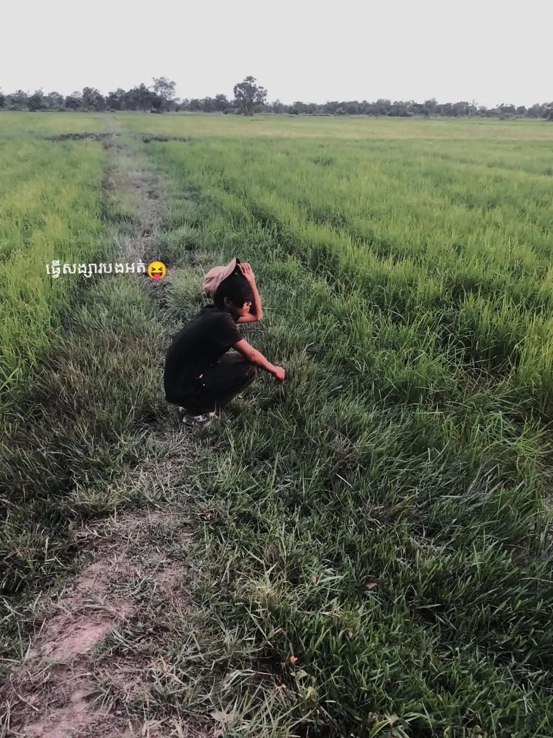 @Břø Řïñ
