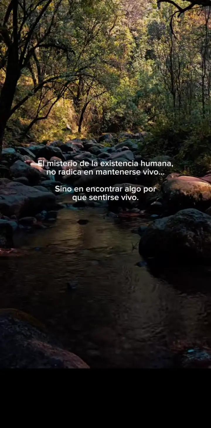 @Reflexiones.
