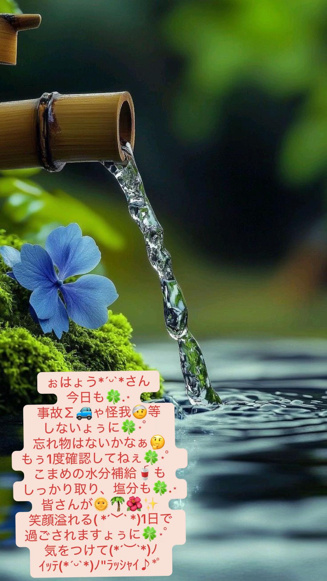 @coo~ꕤ୭*
