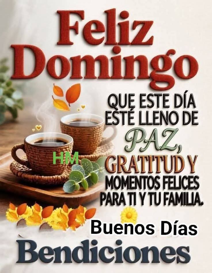 @rogebenitez