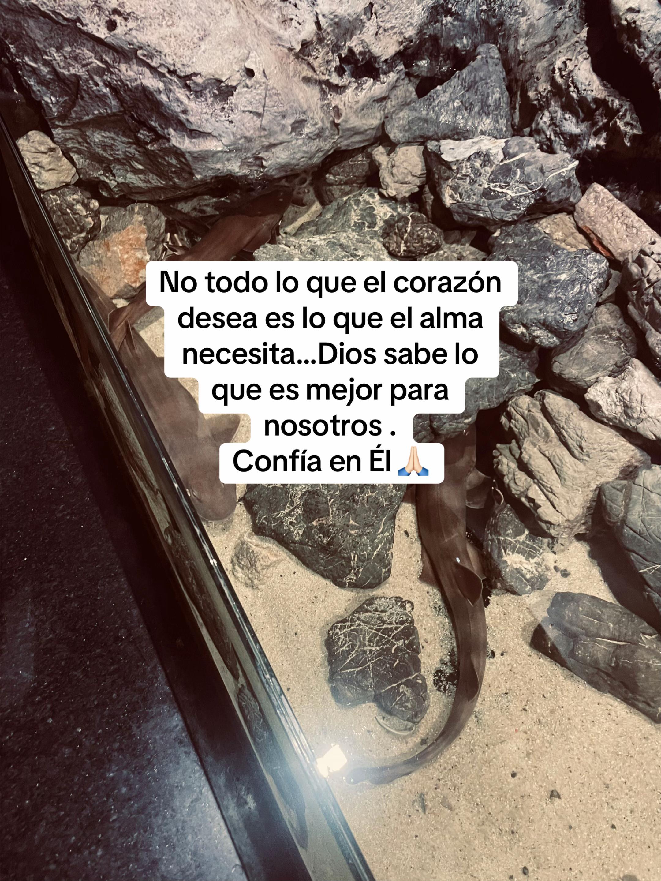 @Lau✨