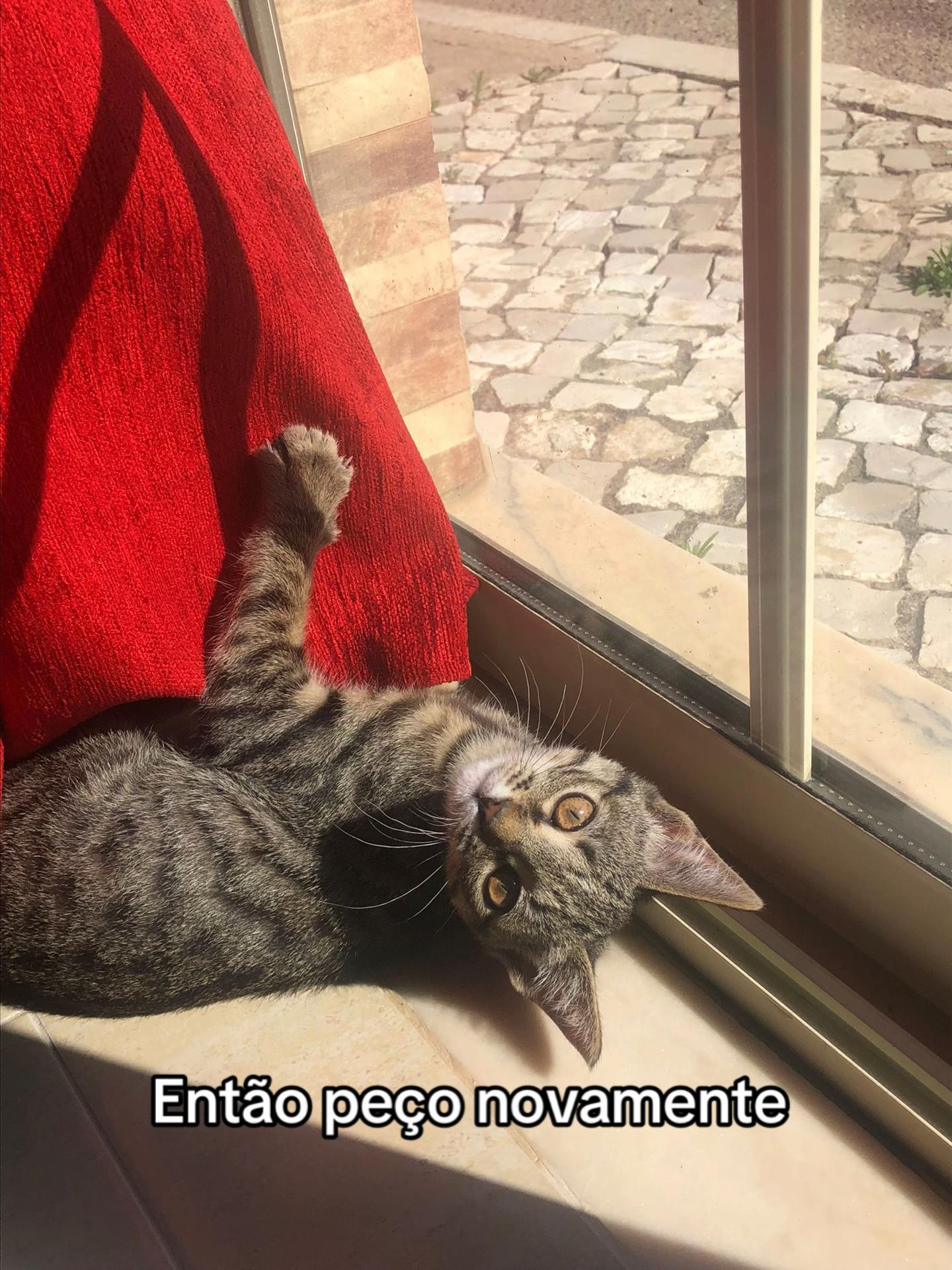 @l0racrubi