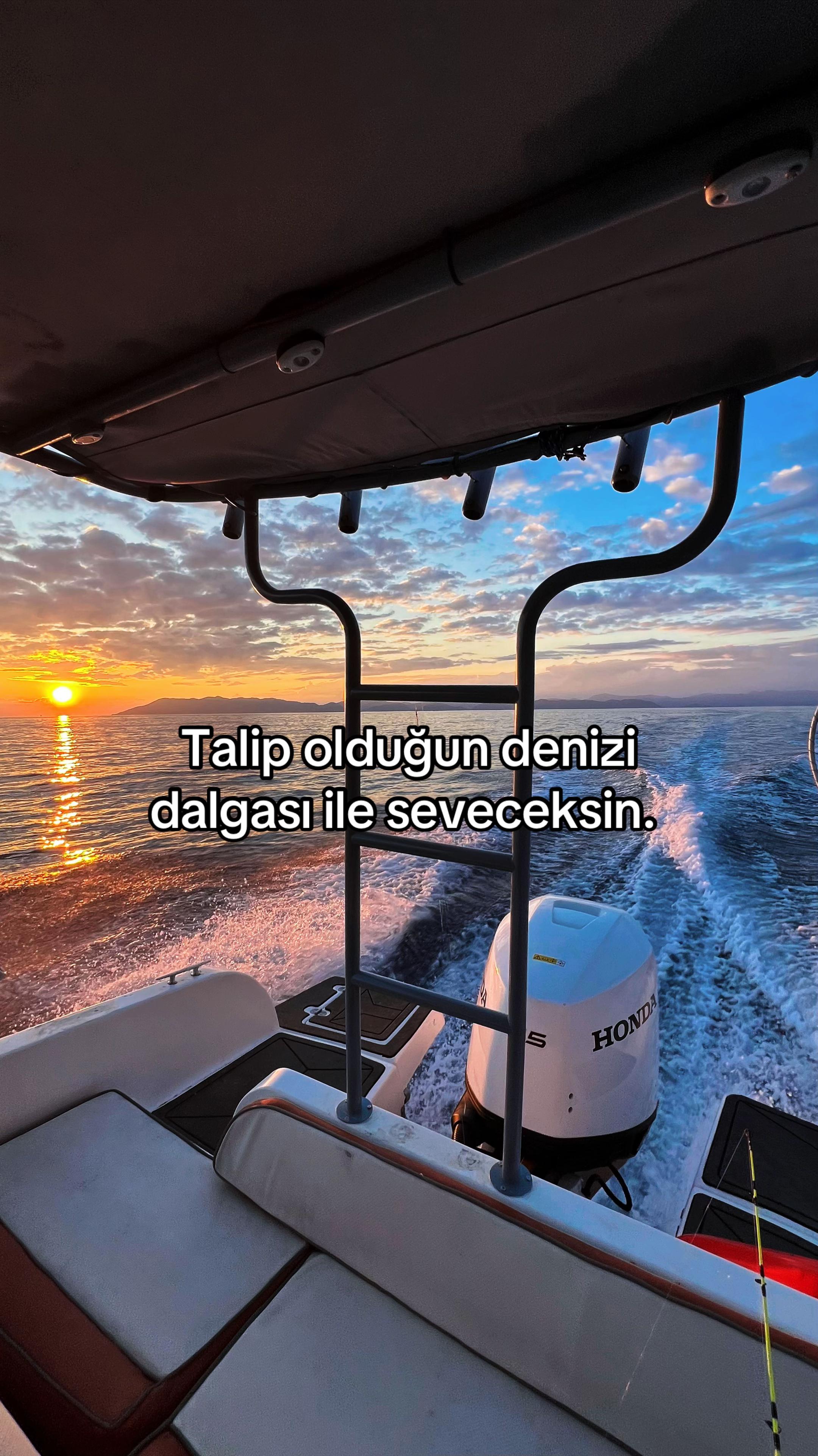 @Tolunay