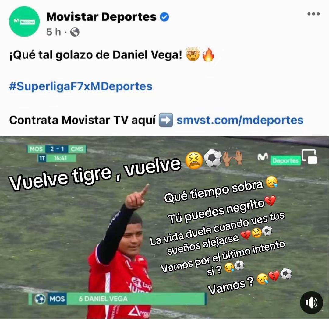 @Daniel Vega 🐒