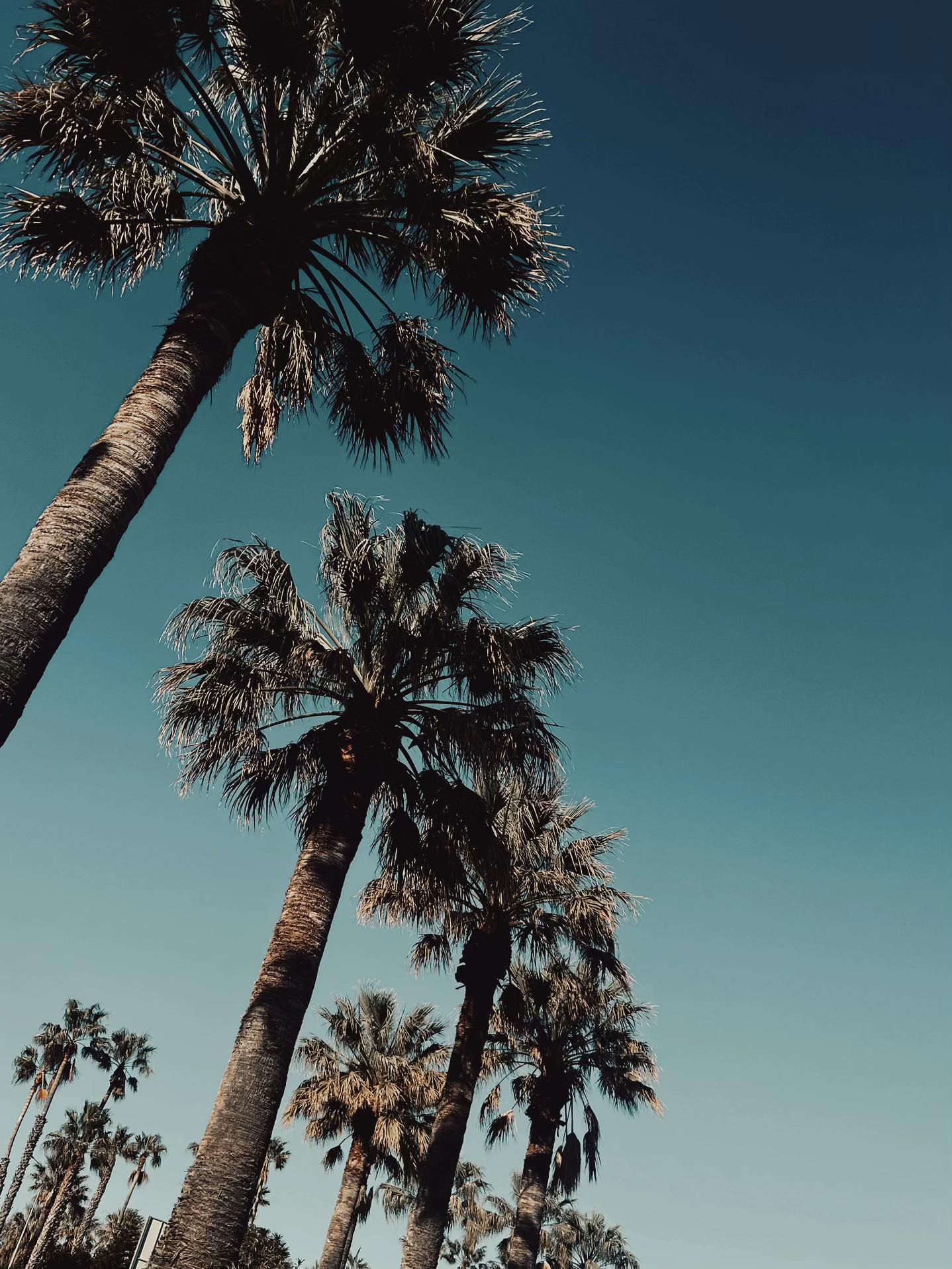 @Dannyburke