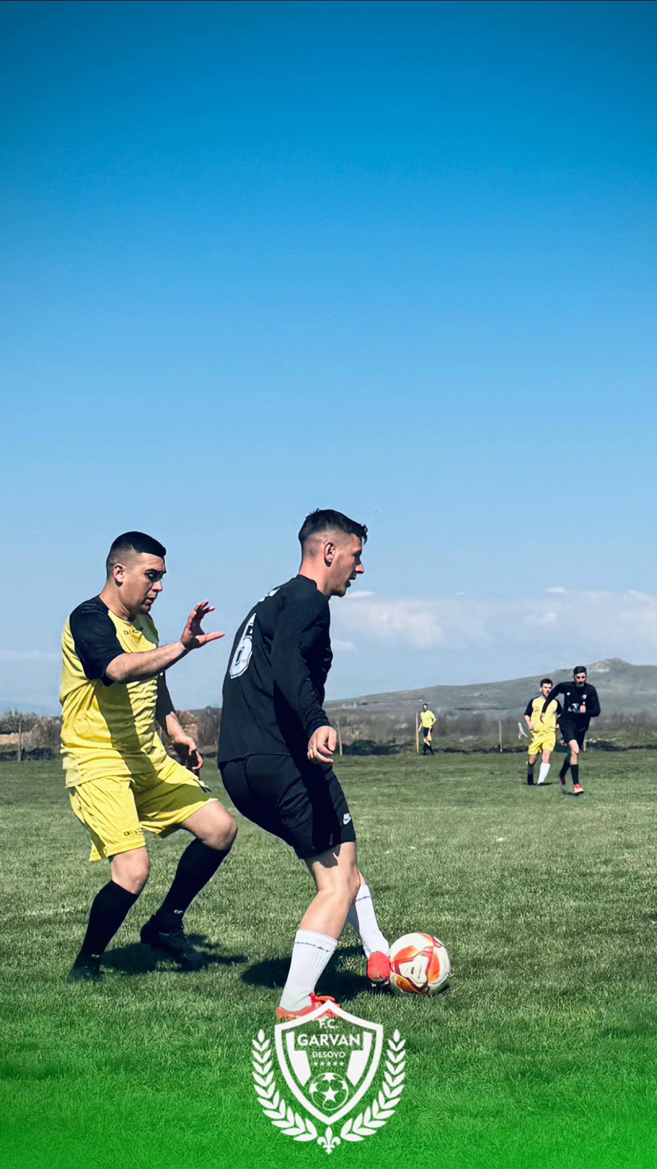 @fcgarvandesovo_official