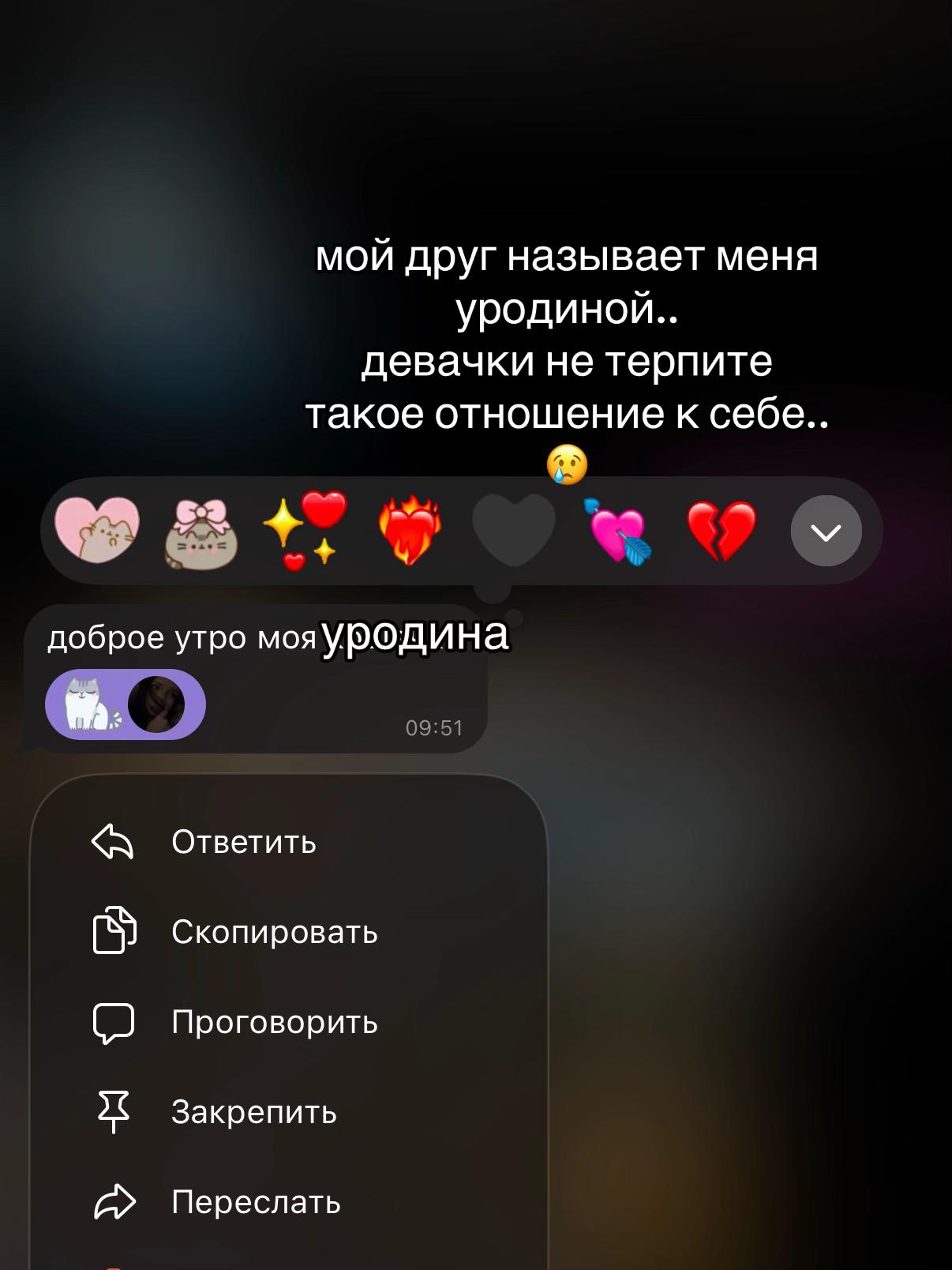 @kitten