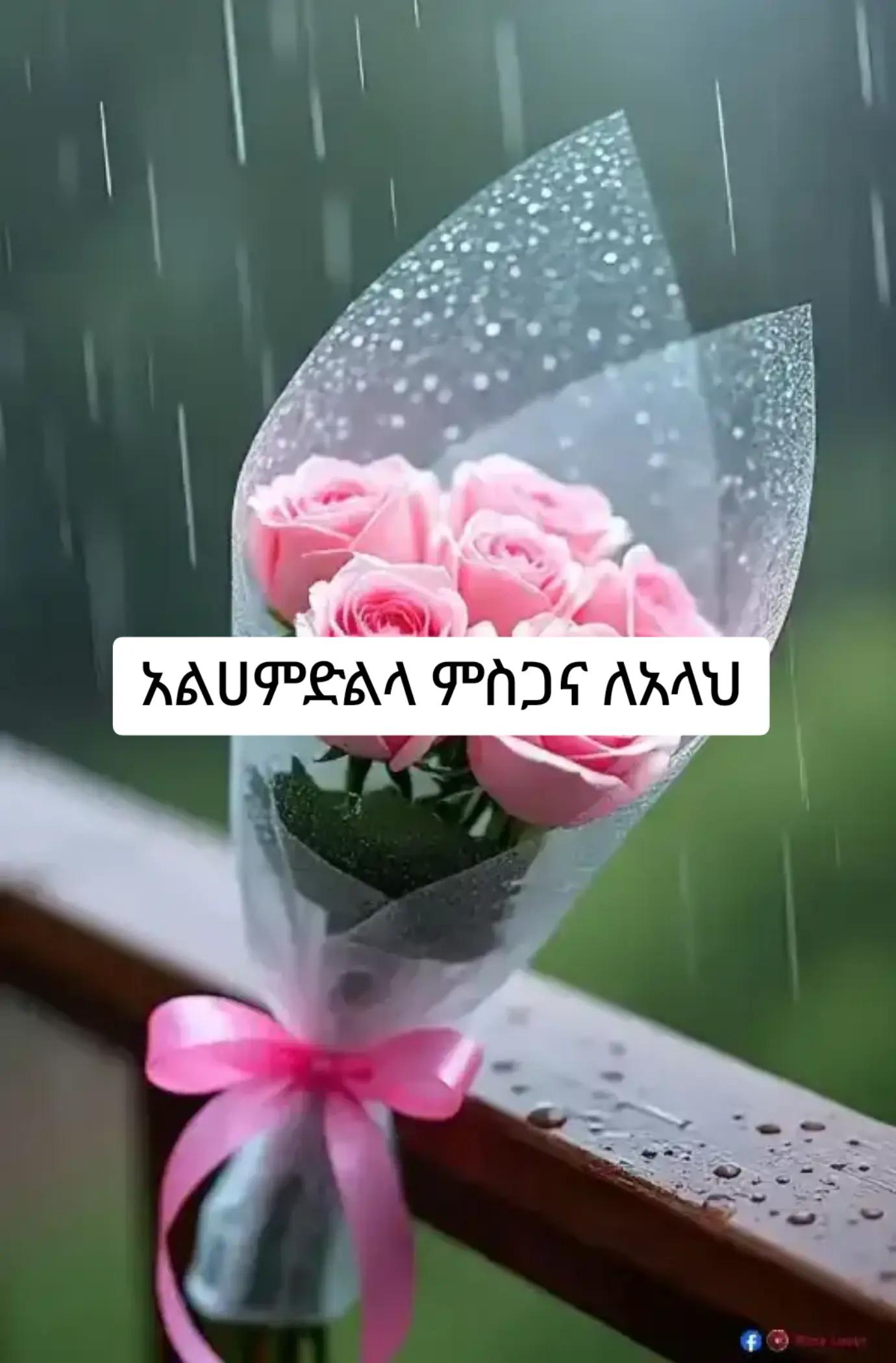 @ኢተቂሏህ ነብሴ 1الله كريم🕊🤍Ⓜ