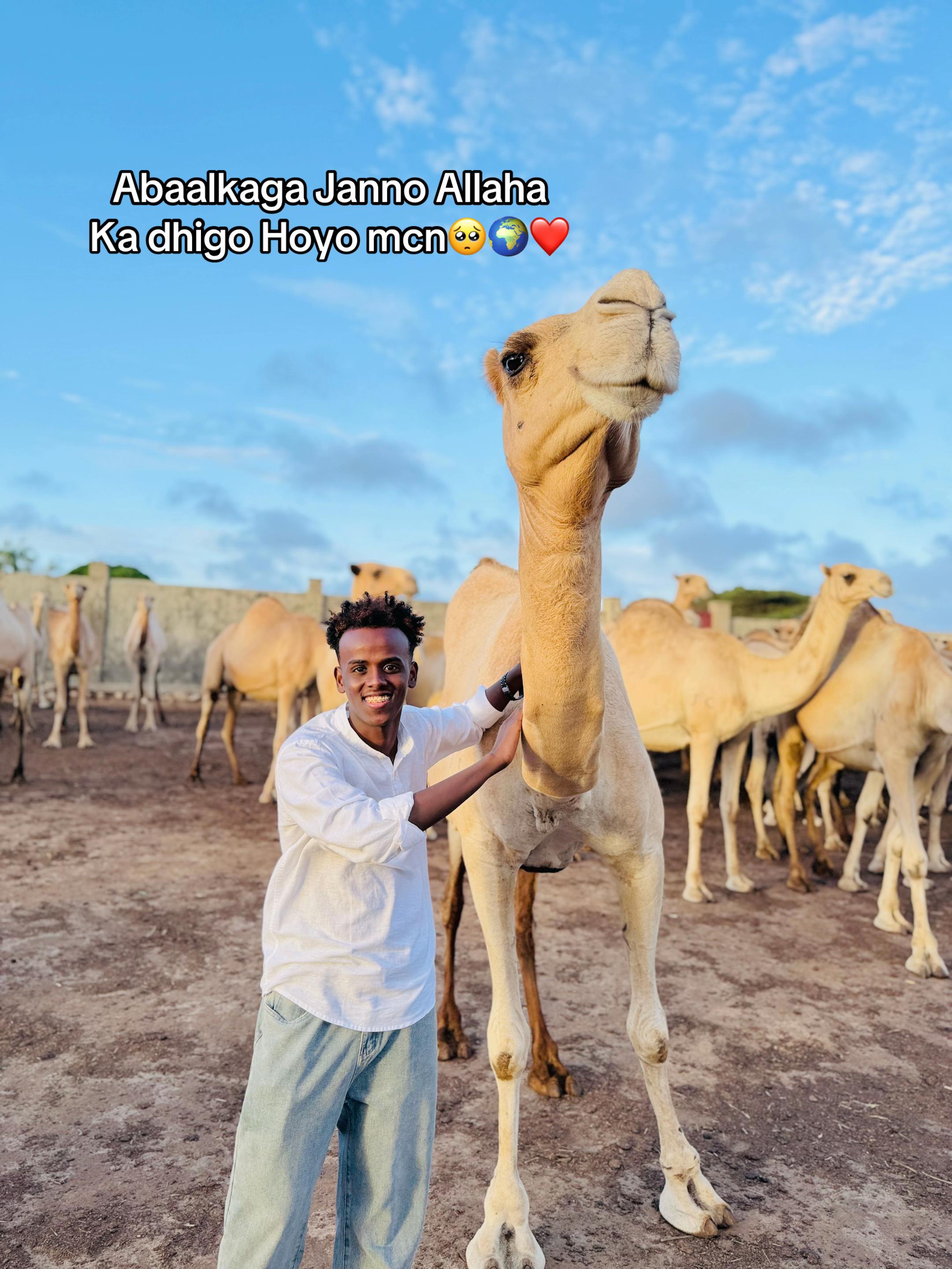 @Abdiqafaar Hussein Dayl🤴🏻❤️