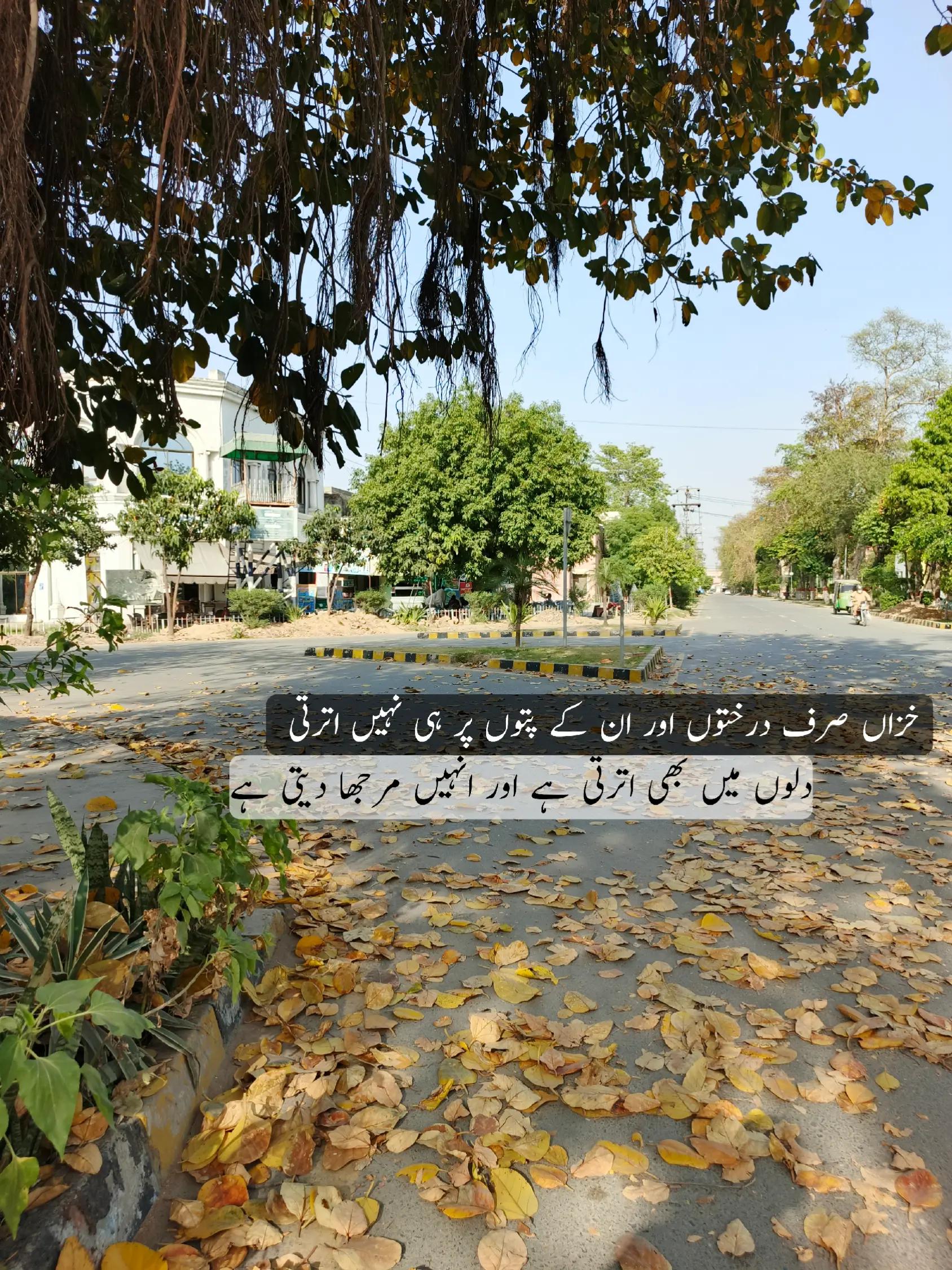 @Umar Ali