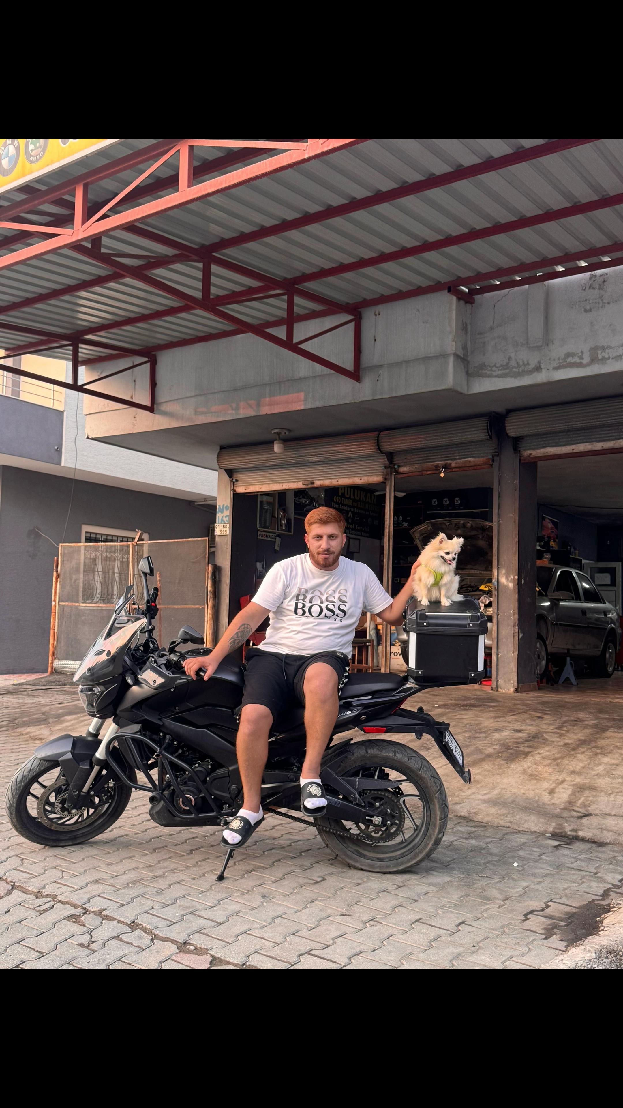 @halil.pulukan