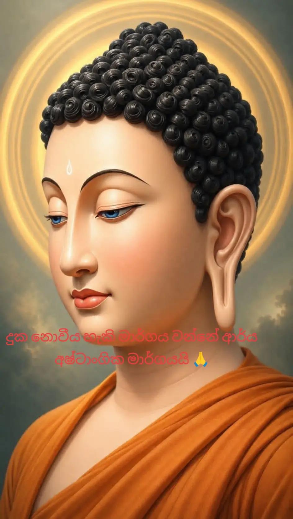 @සබ්බ දානං ධම්ම දානං ජිනාති