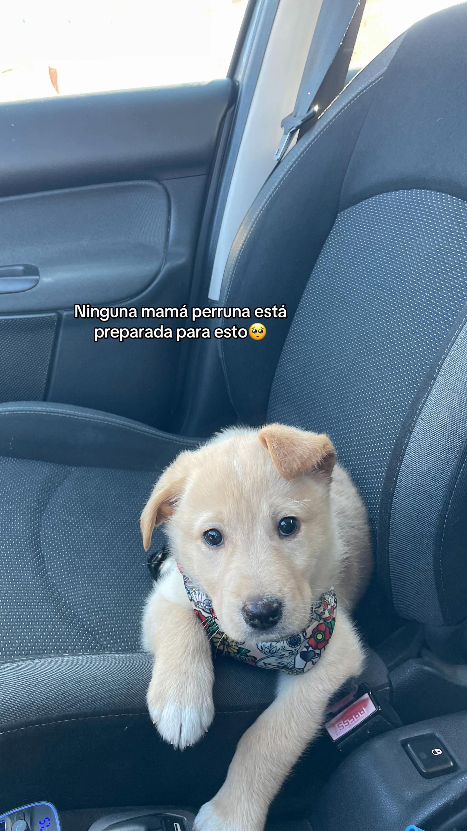 @irina✨
