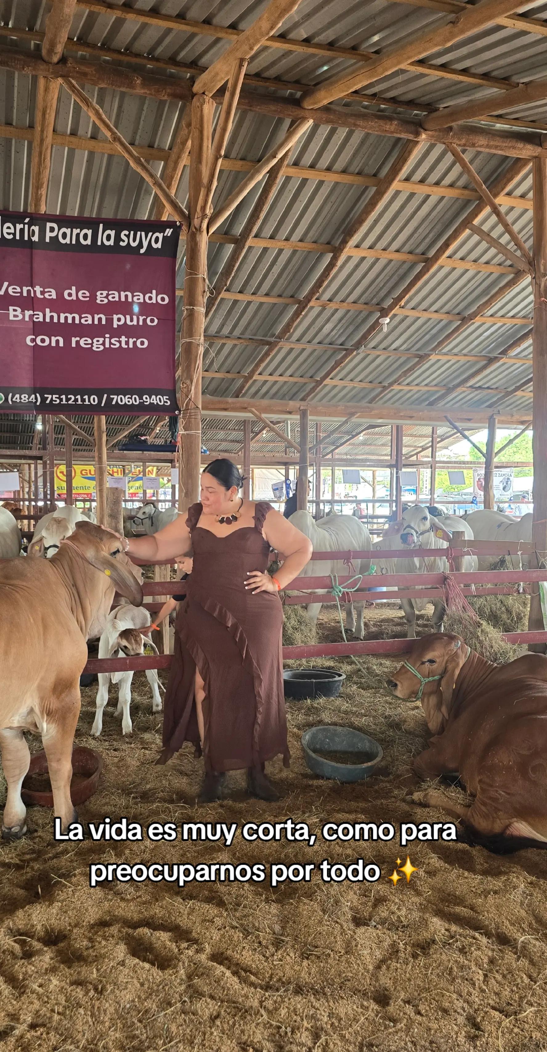 @Soy Lan 🇨🇷