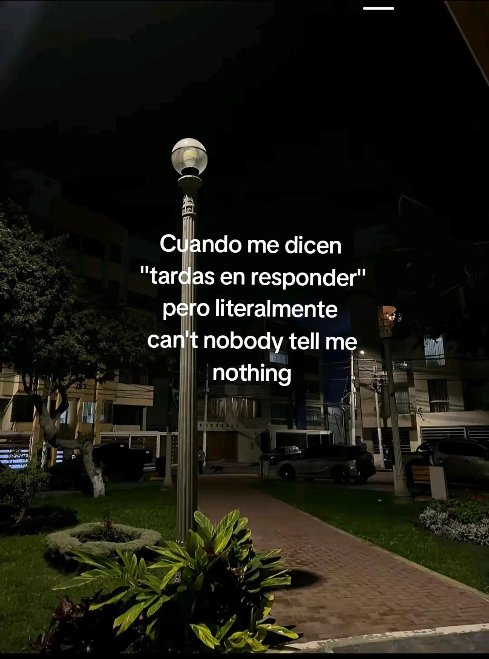 @Navarrito🌹🐊DM