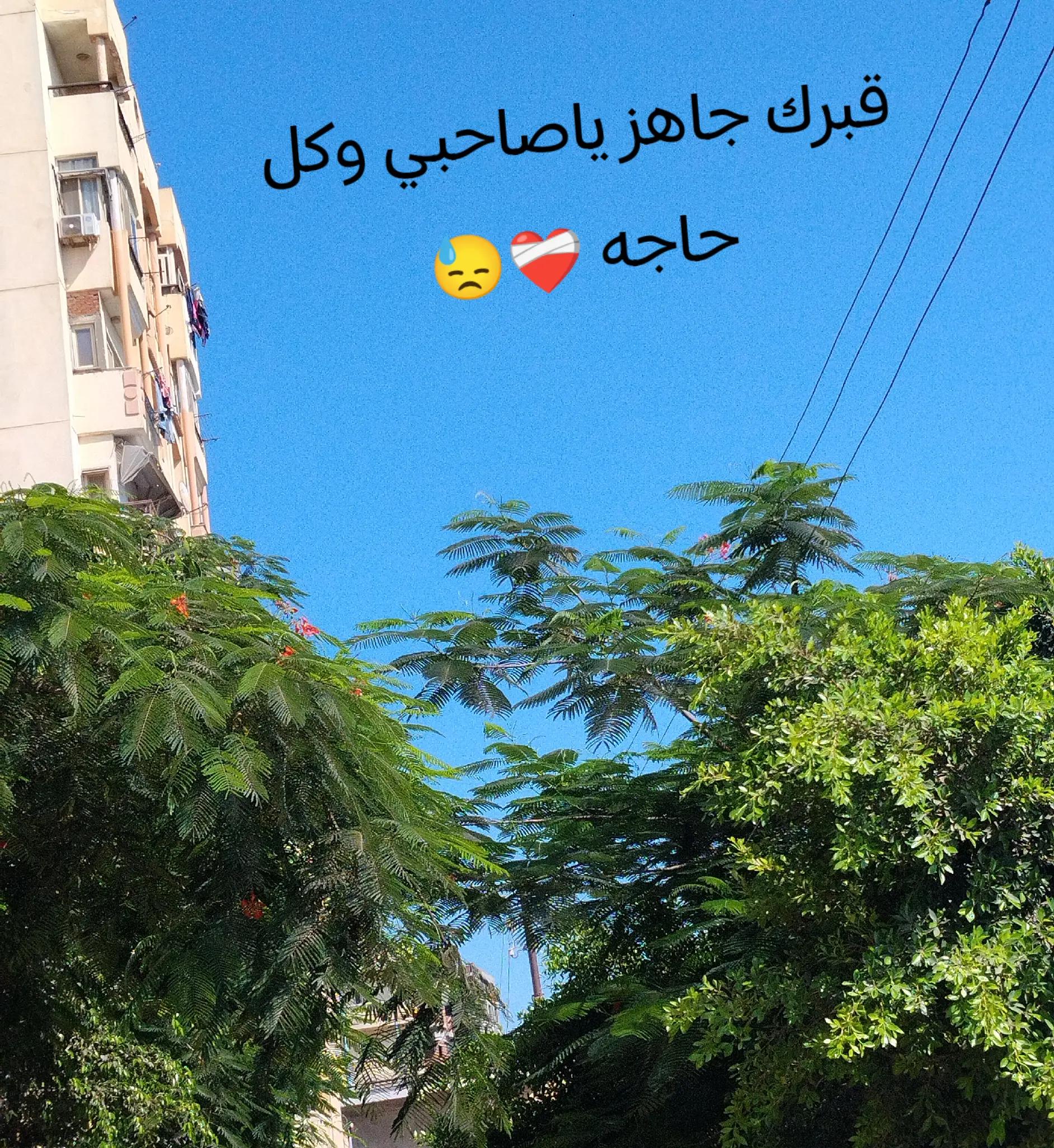 @كاستيلا~إبن~حمد~🇦🇹⚽