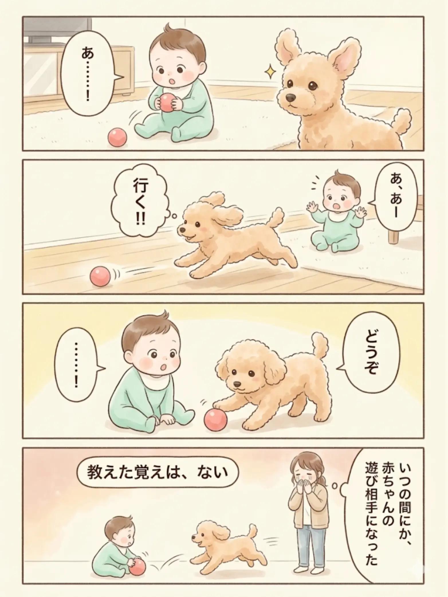 @都内のチワワ