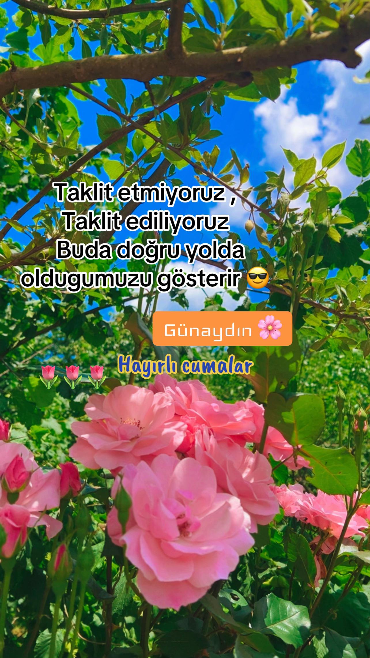 @Serpil